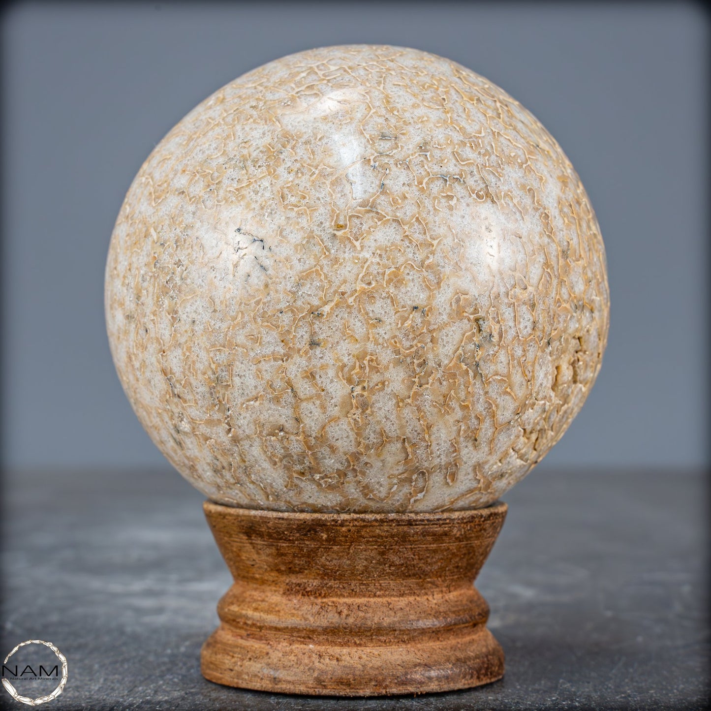 Natürliche Versteinerte Atlasaurus Dino Knochenkugel - 465,53g - 70,7mm