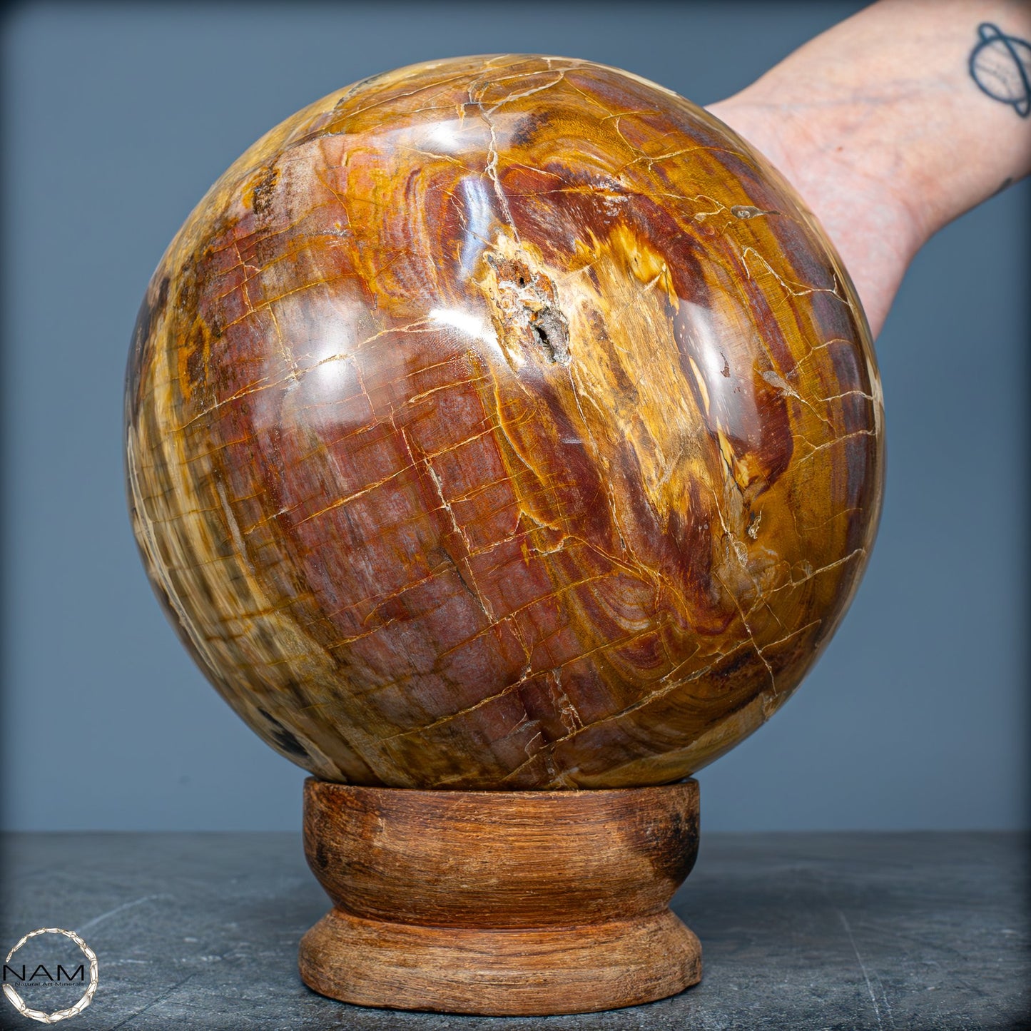 Natürliche Kristall-Kugel aus Versteinertem Holz - 4162,79g - 130mm