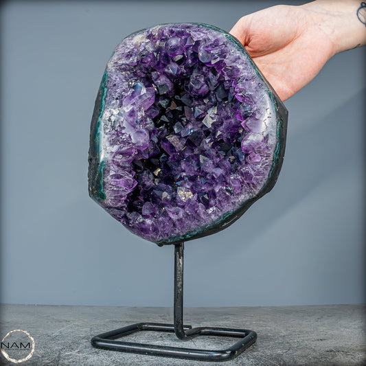 Natürliche Amethyst-Kristalle/Druse auf Ständer - 4778,42g