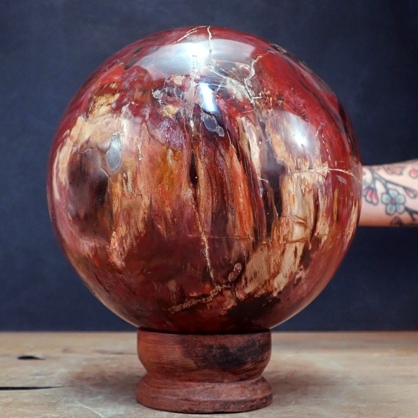 Große Kugel aus Versteinertem Holz - 7102,45g