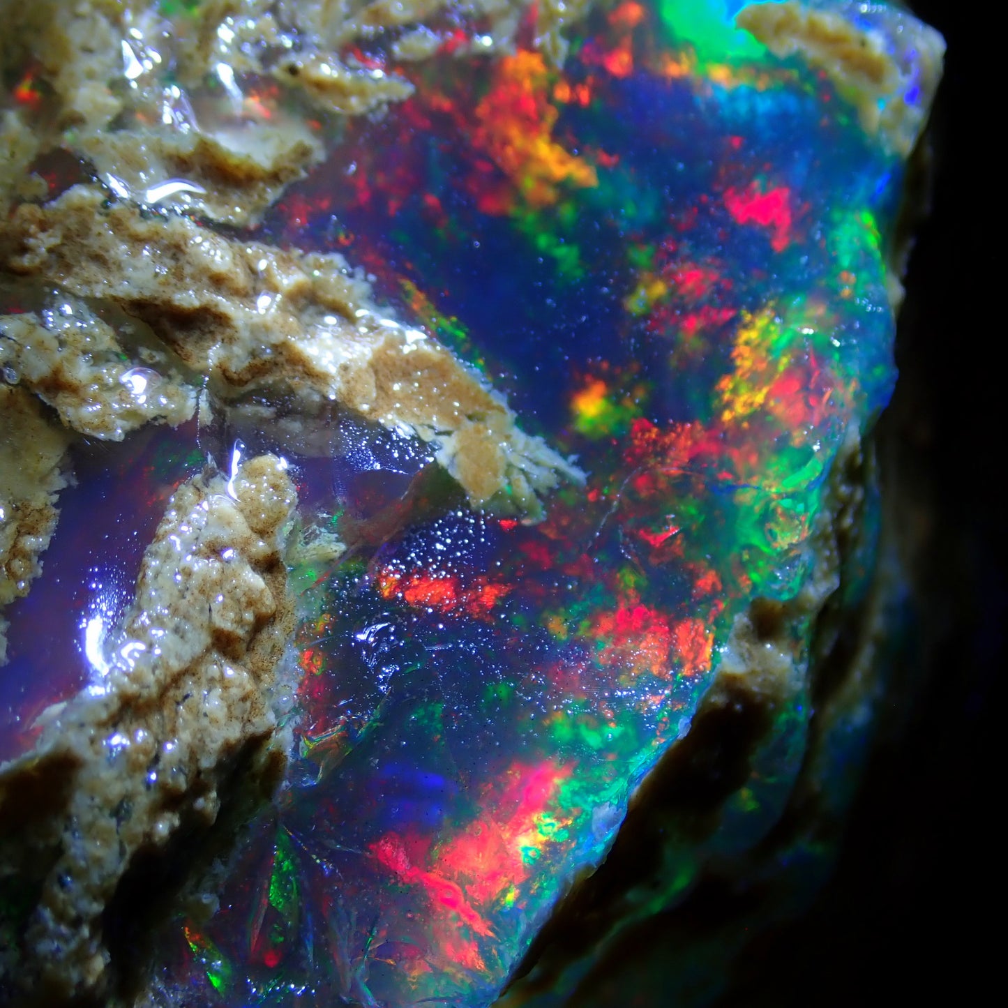 Seltener Großer Kristall-Opal, Äthiopien - 557.5ct - 111,5g