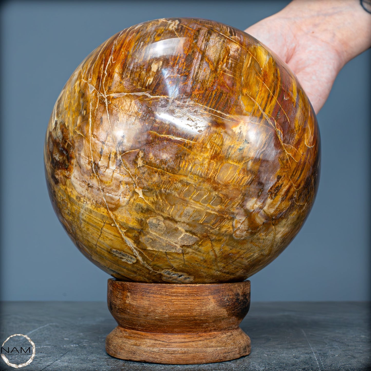 Natürliche Kristall-Kugel aus Versteinertem Holz - 4162,79g - 130mm