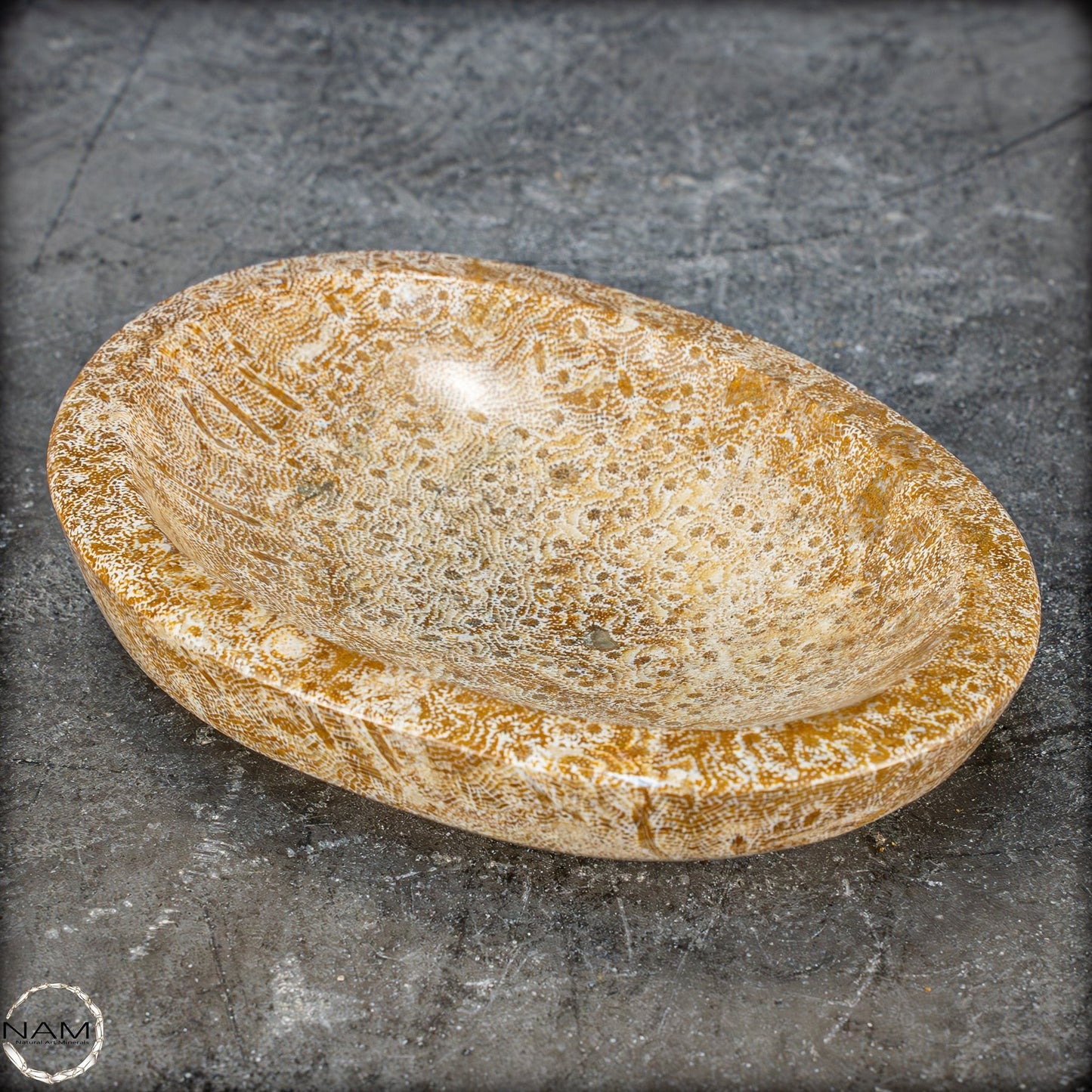 Natürliche Fossile Koralle als Schale - Schüssel - 303,51g