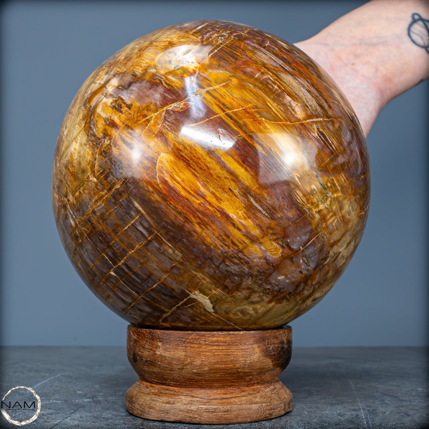 Natürliche Kristall-Kugel aus Versteinertem Holz - 4162,79g - 130mm