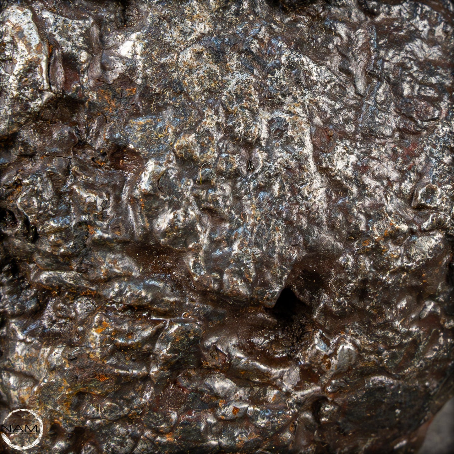 Natürlicher Sehr Großer Meteorit Campo Del Cielo, Argentinien - 1351,89g