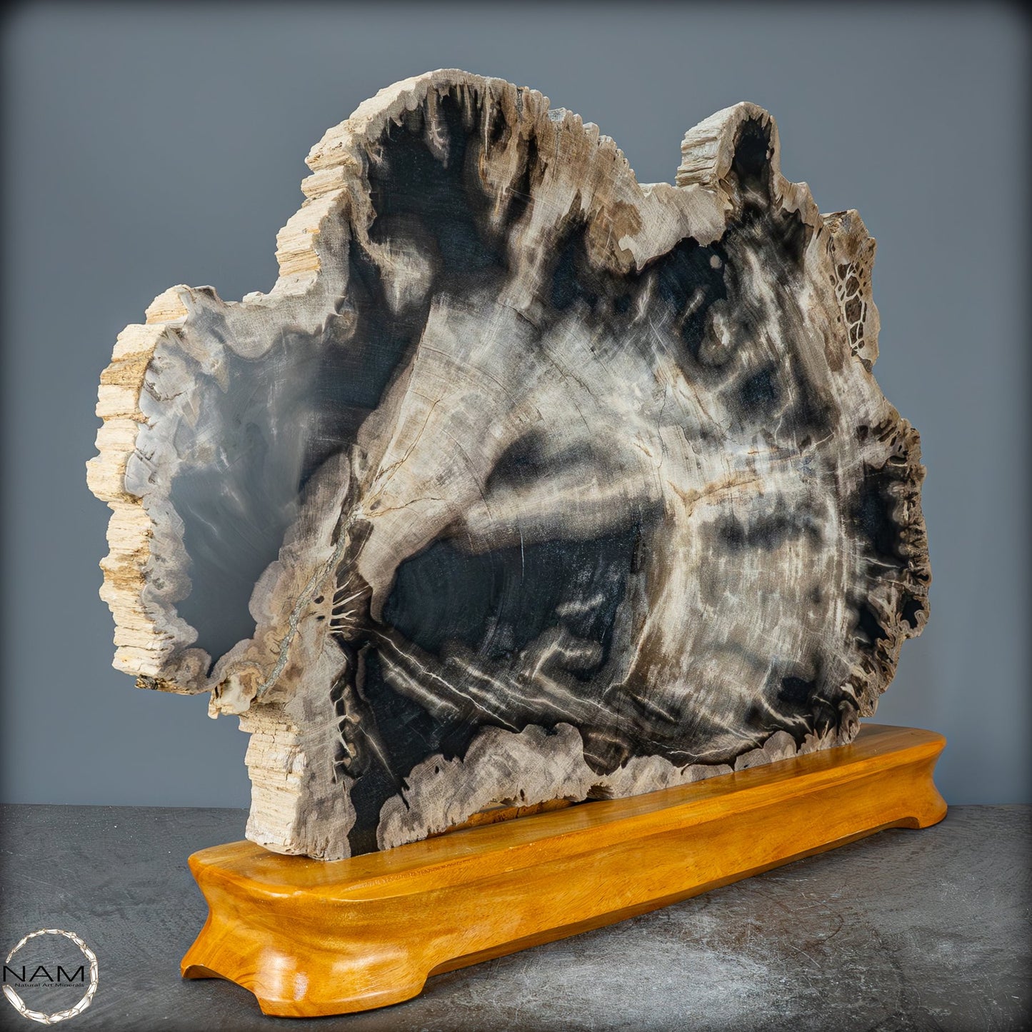 Natürliche Versteinerte Holz Kristall-Scheibe aus Arizona - 16728,48g