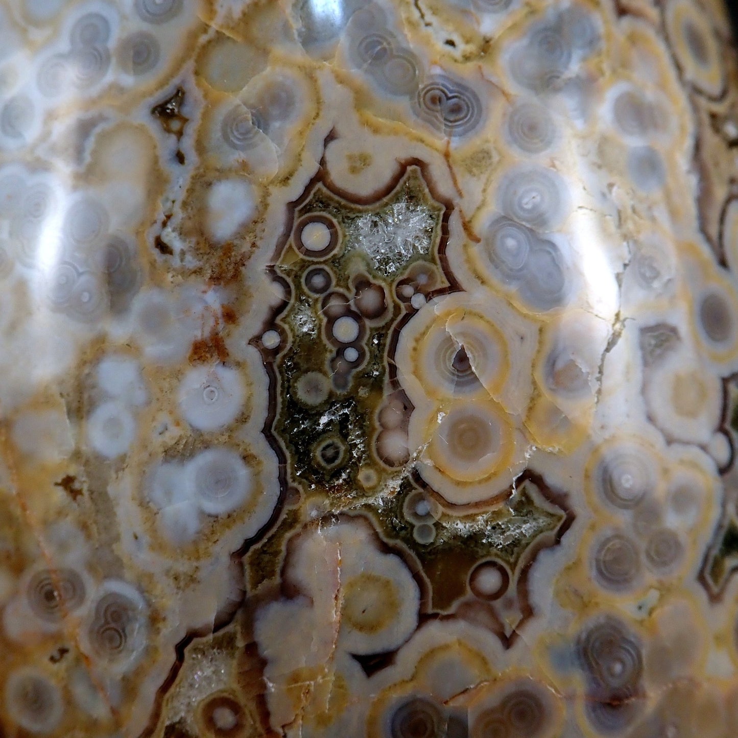 Große Ozean-Jaspis Freiform - 3362.91 g - 237×131×97 mm