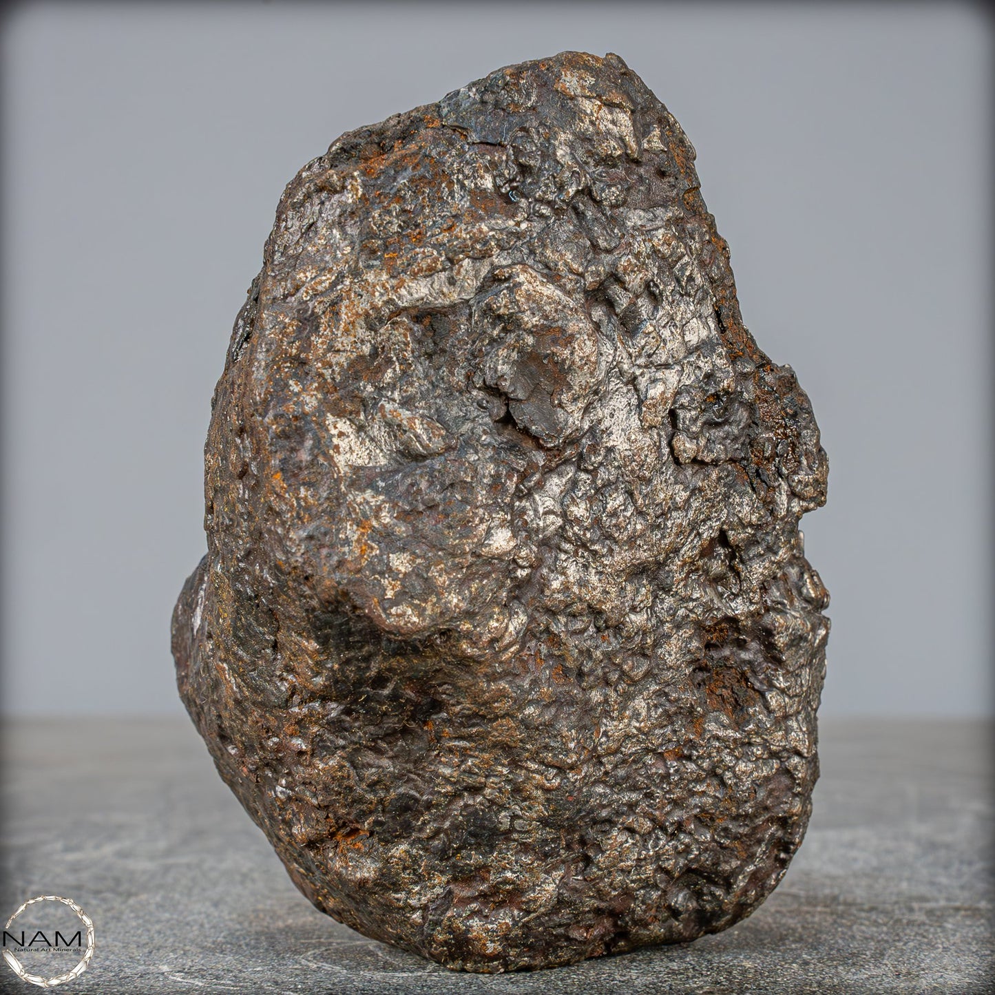 Natürlicher Sehr Großer Meteorit Campo Del Cielo, Argentinien - 1351,89g