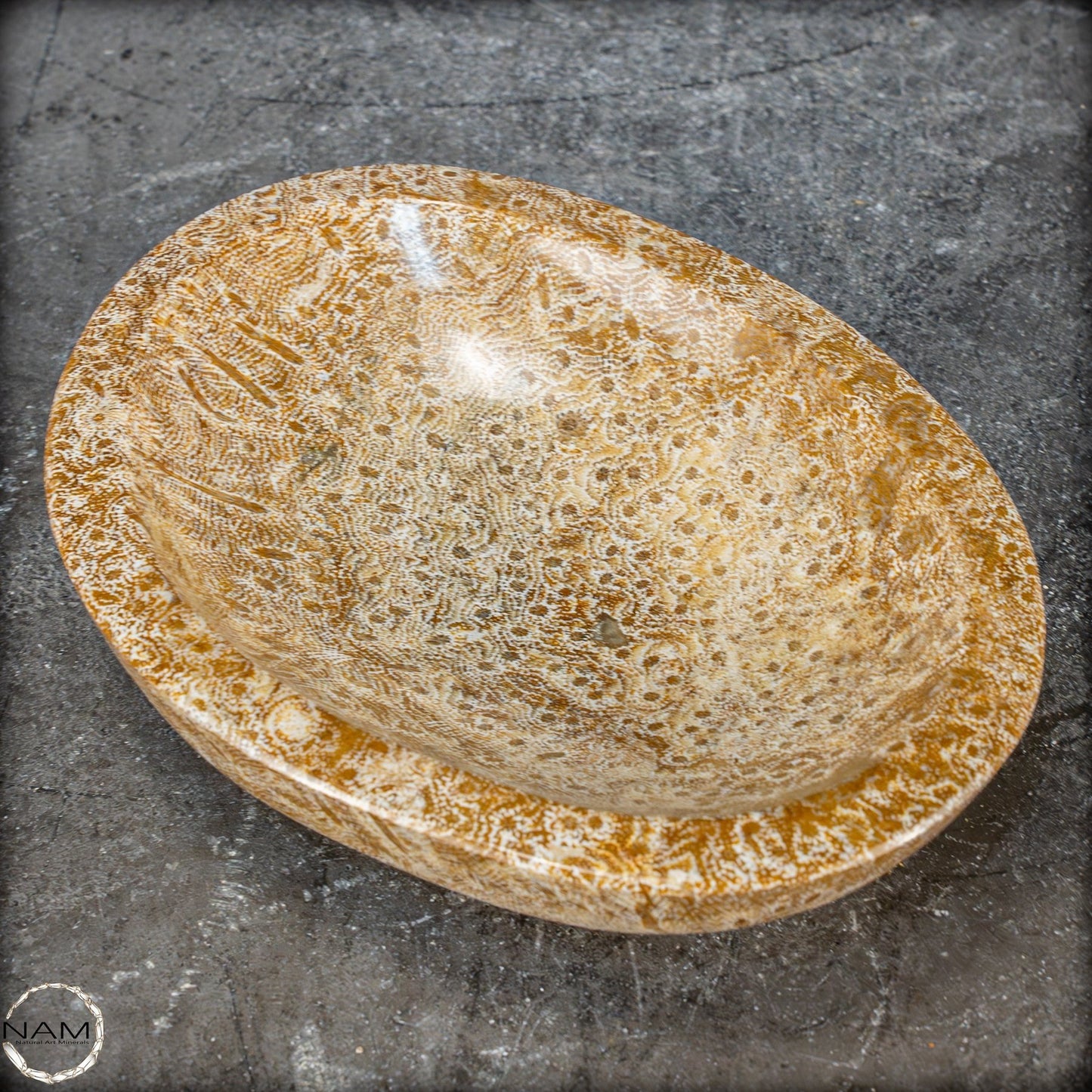 Natürliche Fossile Koralle als Schale - Schüssel - 303,51g