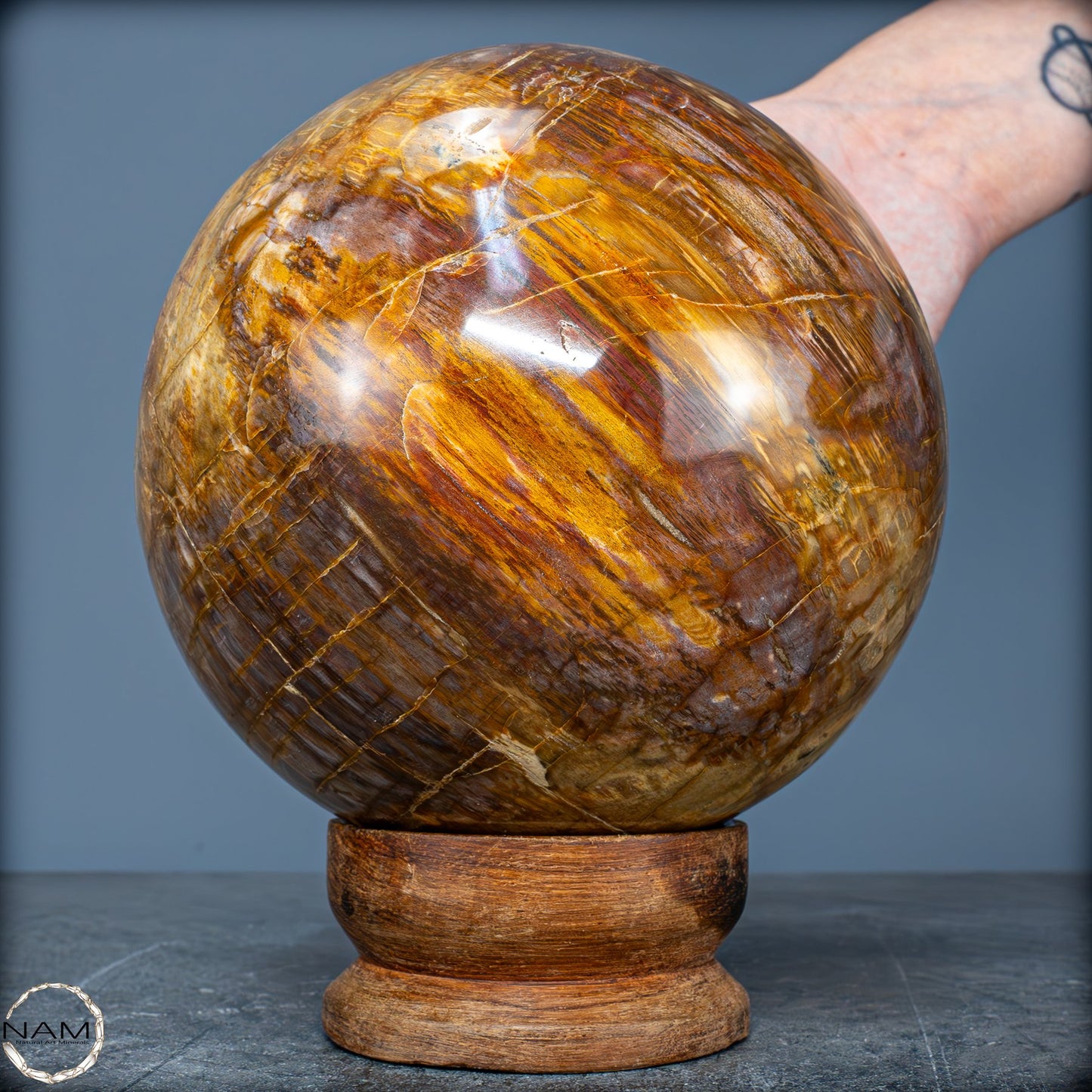 Natürliche Kristall-Kugel aus Versteinertem Holz - 4162,79g - 130mm