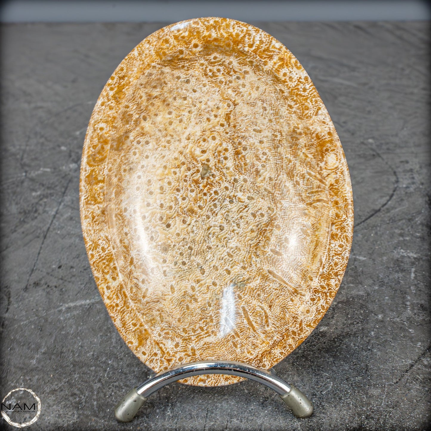 Natürliche Fossile Koralle als Schale - Schüssel - 303,51g