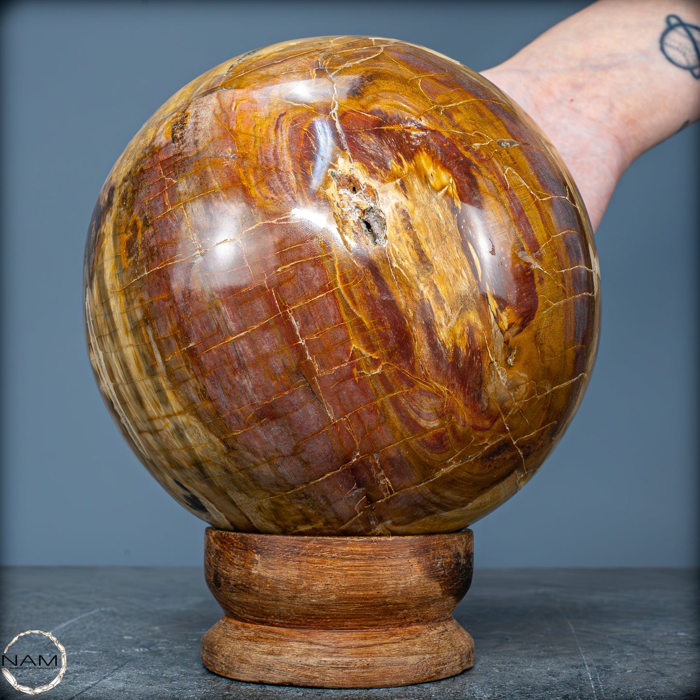 Natürliche Kristall-Kugel aus Versteinertem Holz - 4162,79g - 130mm