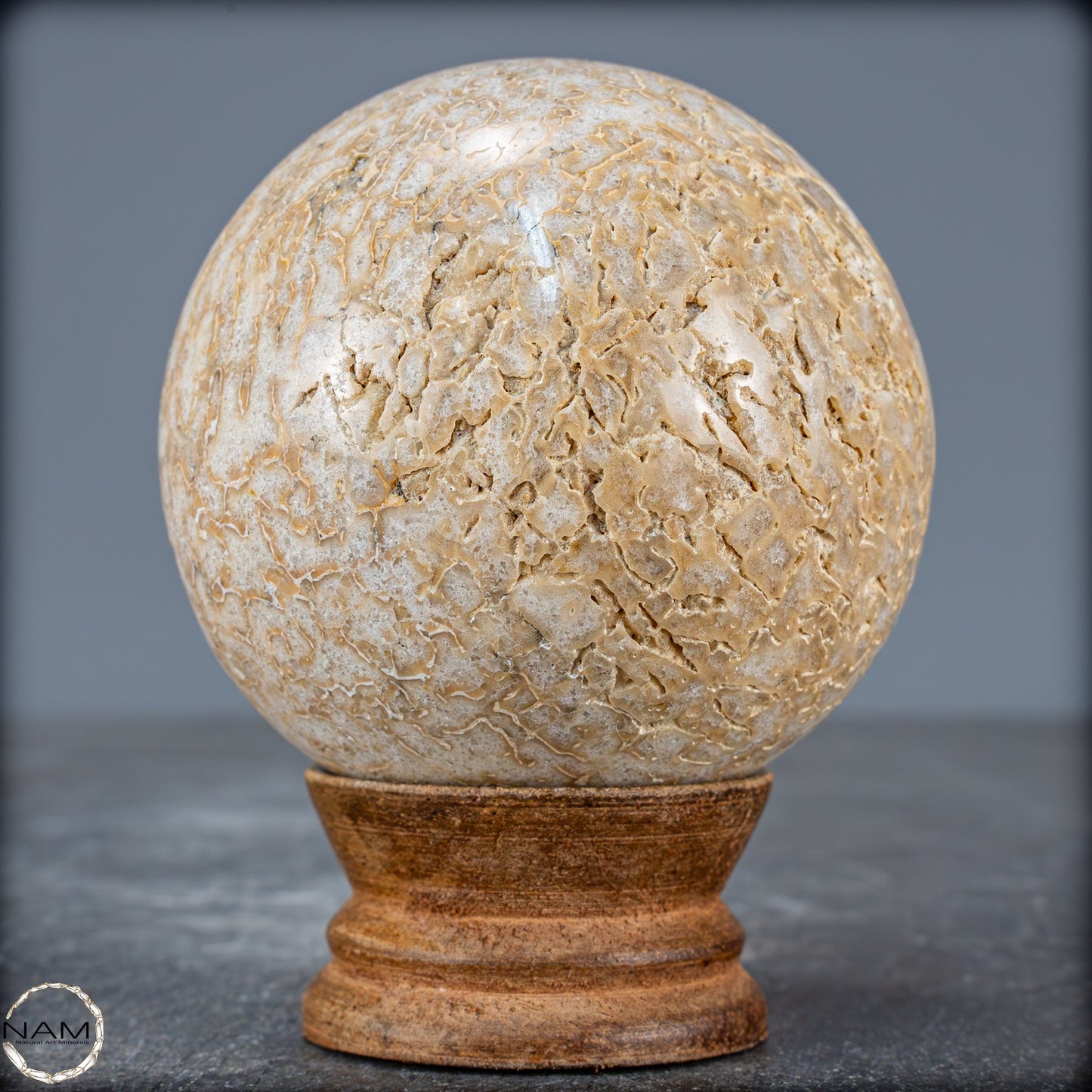 Natürliche Versteinerte Atlasaurus Dino Knochenkugel - 465,53g - 70,7mm