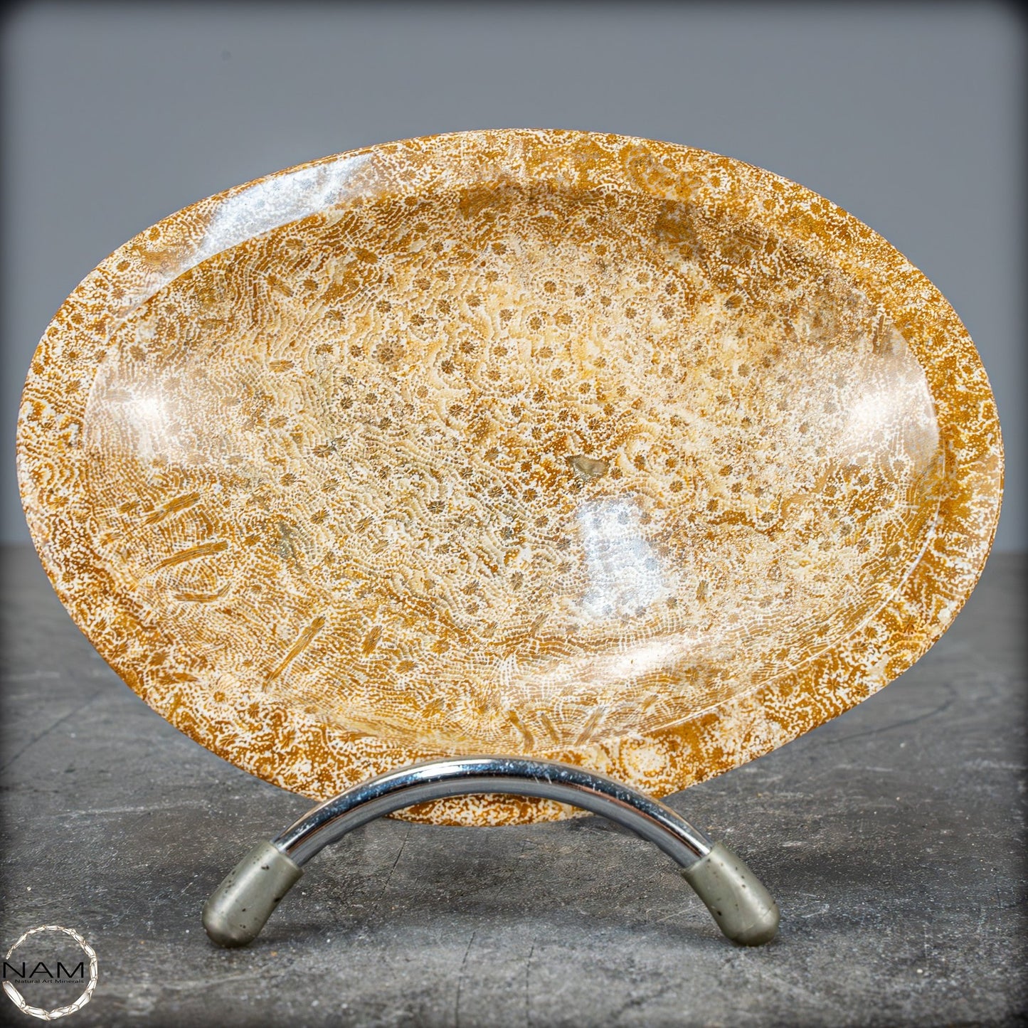 Natürliche Fossile Koralle als Schale - Schüssel - 303,51g