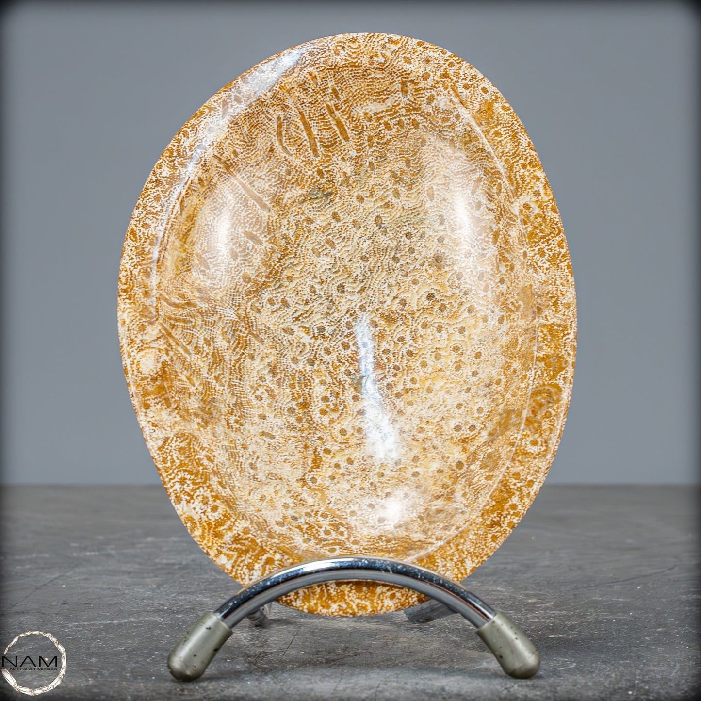 Natürliche Fossile Koralle als Schale - Schüssel - 303,51g