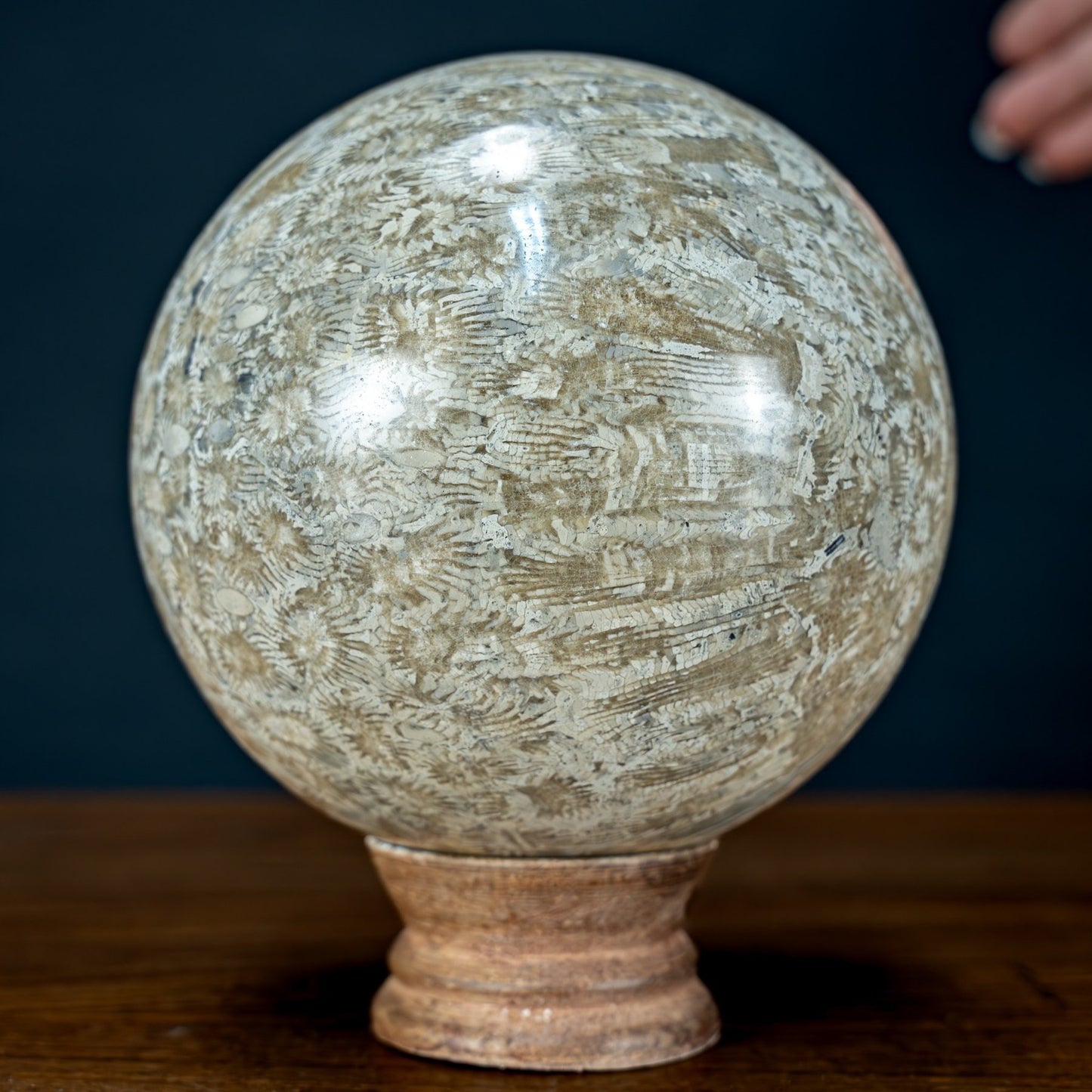 Natürliche Fossile Koralle als Kugel - 1284,77g - 110mm