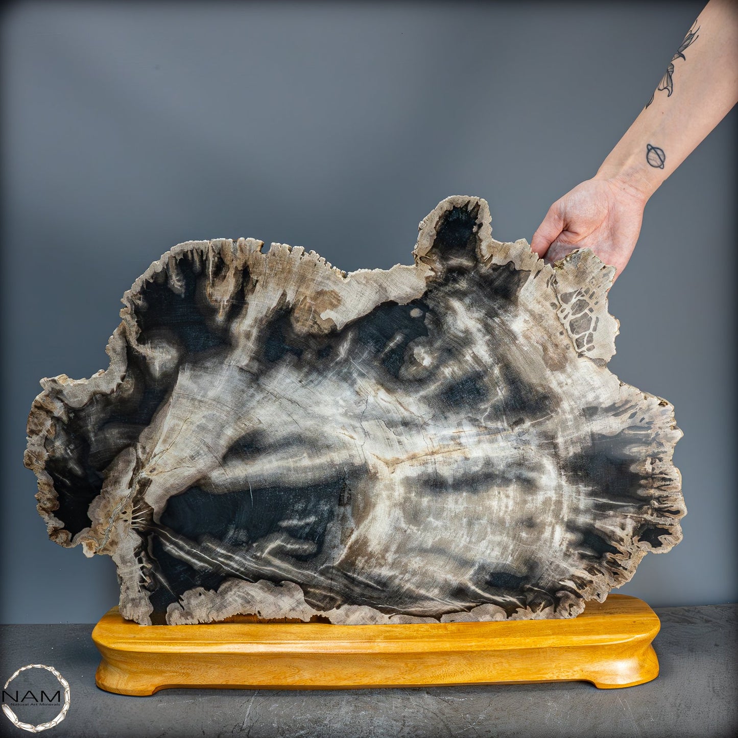 Natürliche Versteinerte Holz Kristall-Scheibe aus Arizona - 16728,48g