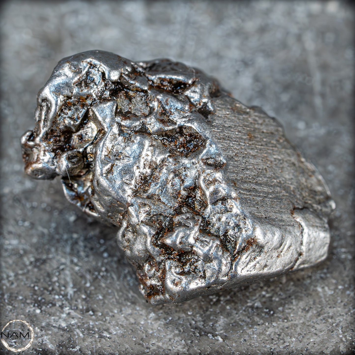 Natürlicher Meteorit Campo Del Cielo, Argentinien - 23,07g