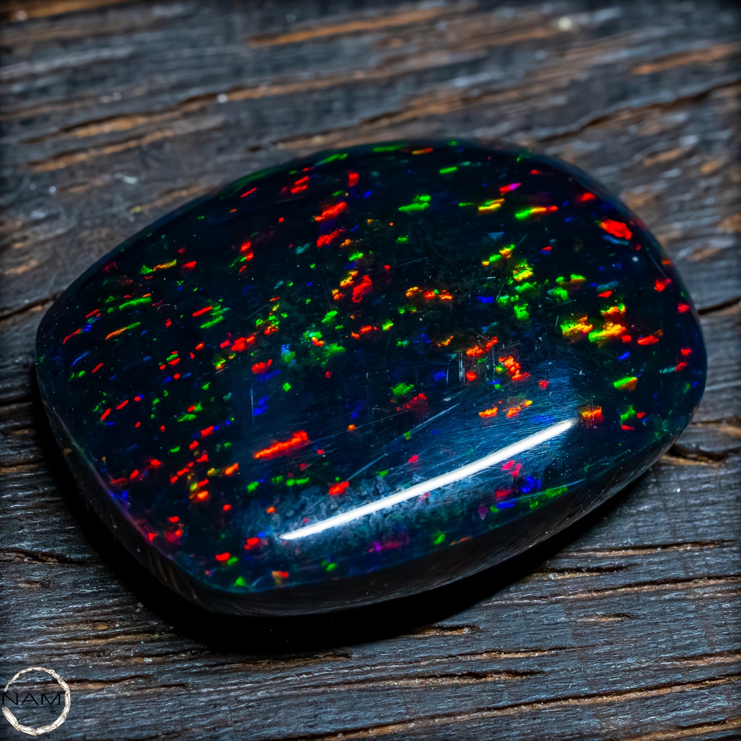 Großer AAA+ Schwarzer Opal Cabochon - 4,76g / 23,8 ct