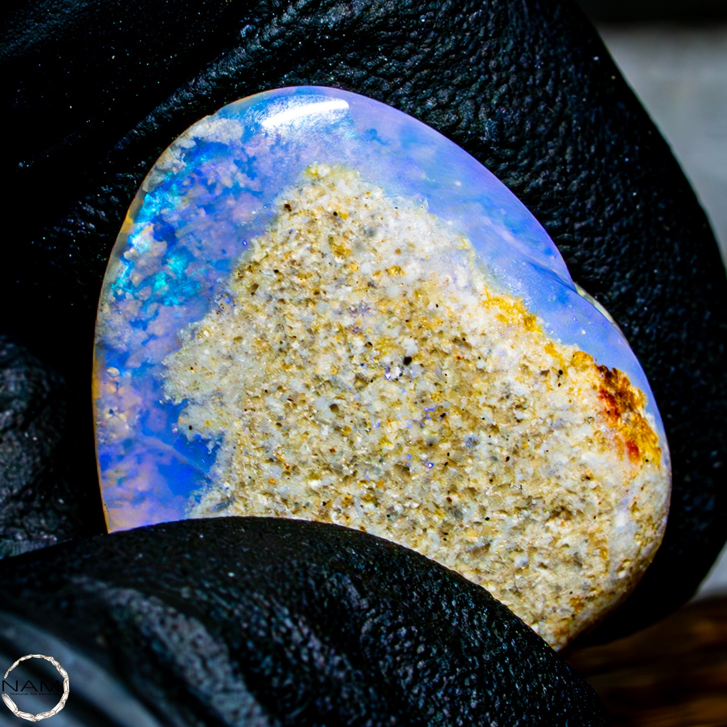 Natürliche AAA+ Opalesierte Fossile Muschel aus Australien, 16,50ct
