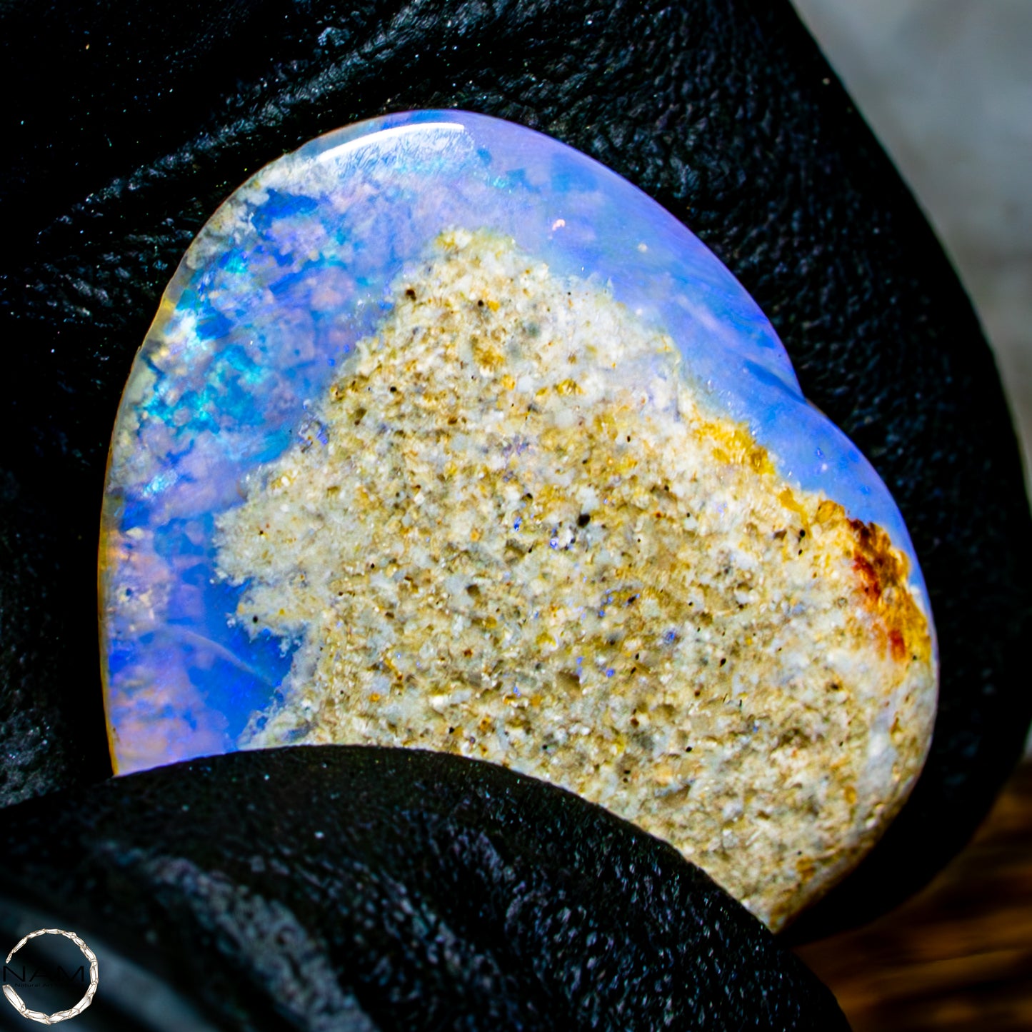 Natürliche AAA+ Opalesierte Fossile Muschel aus Australien, 16,50ct