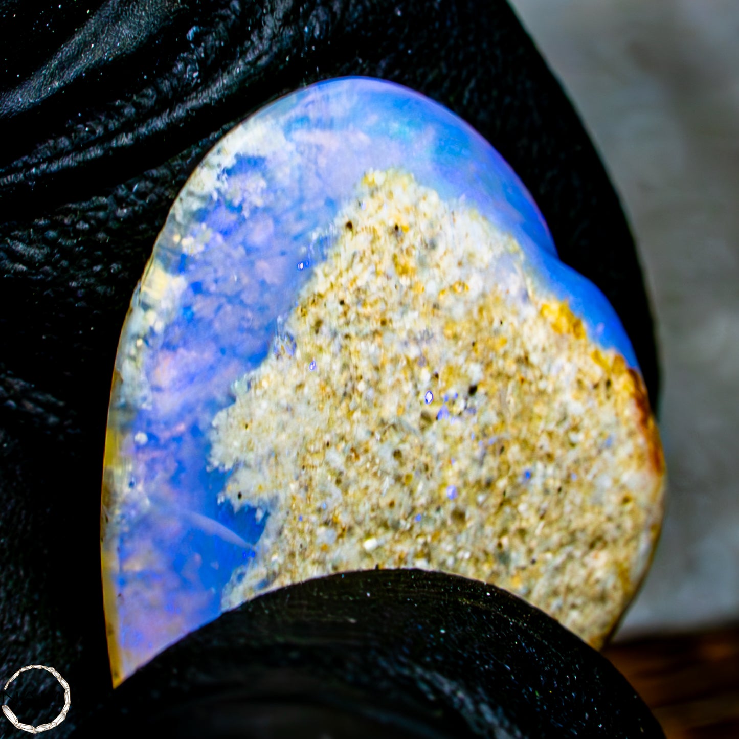 Natürliche AAA+ Opalesierte Fossile Muschel aus Australien, 16,50ct