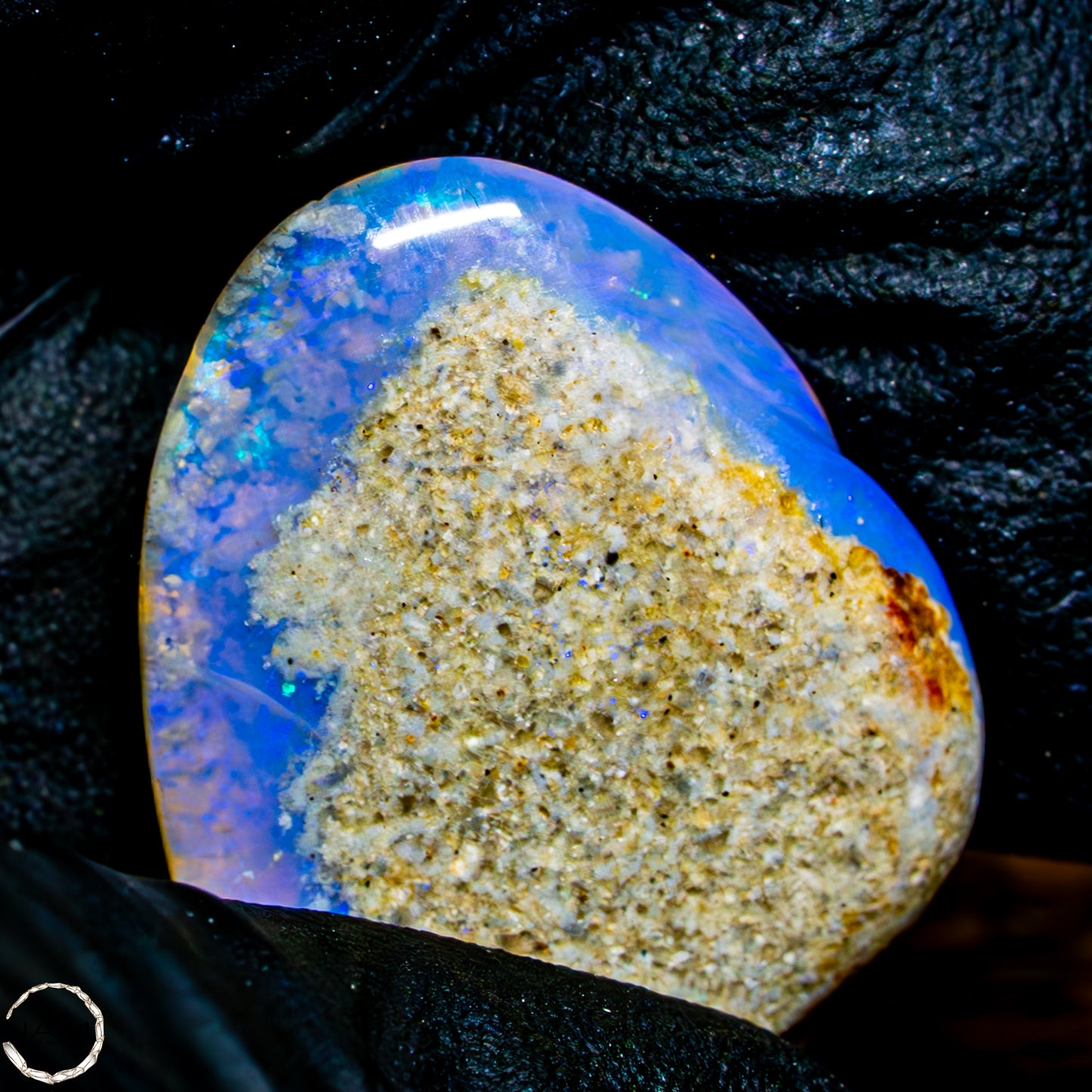 Natürliche AAA+ Opalesierte Fossile Muschel aus Australien, 16,50ct