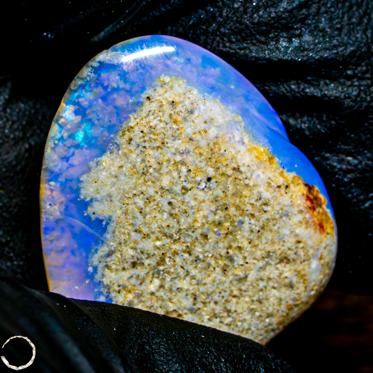 Natürliche AAA+ Opalesierte Fossile Muschel aus Australien, 16,50ct