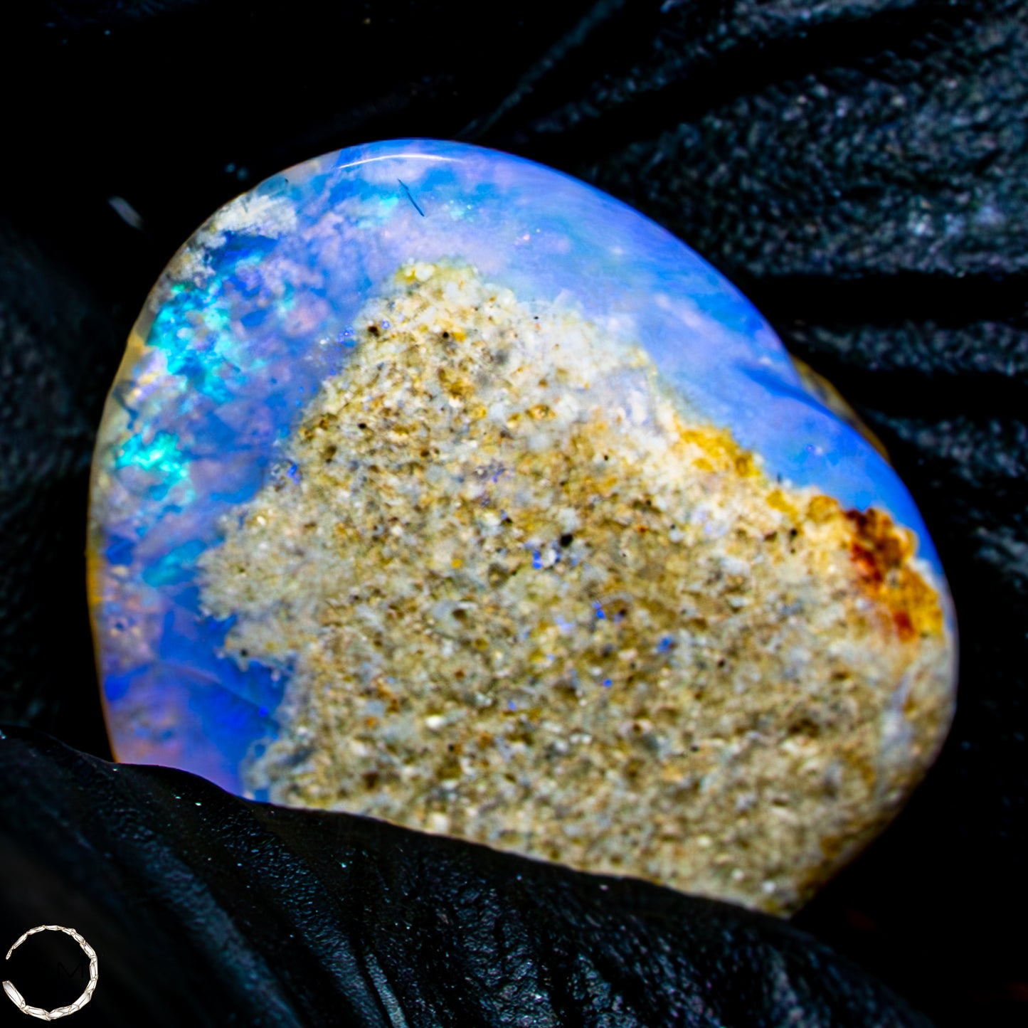 Natürliche AAA+ Opalesierte Fossile Muschel aus Australien, 16,50ct