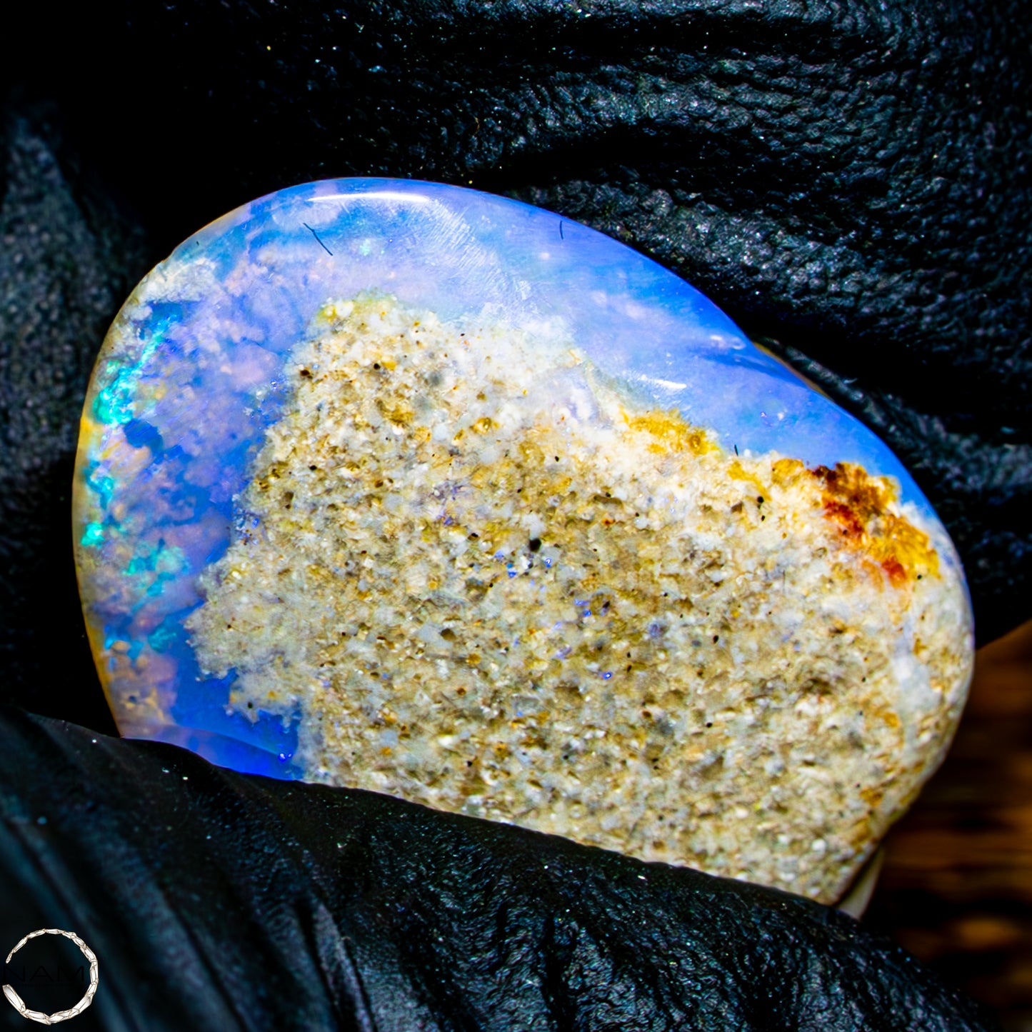 Natürliche AAA+ Opalesierte Fossile Muschel aus Australien, 16,50ct