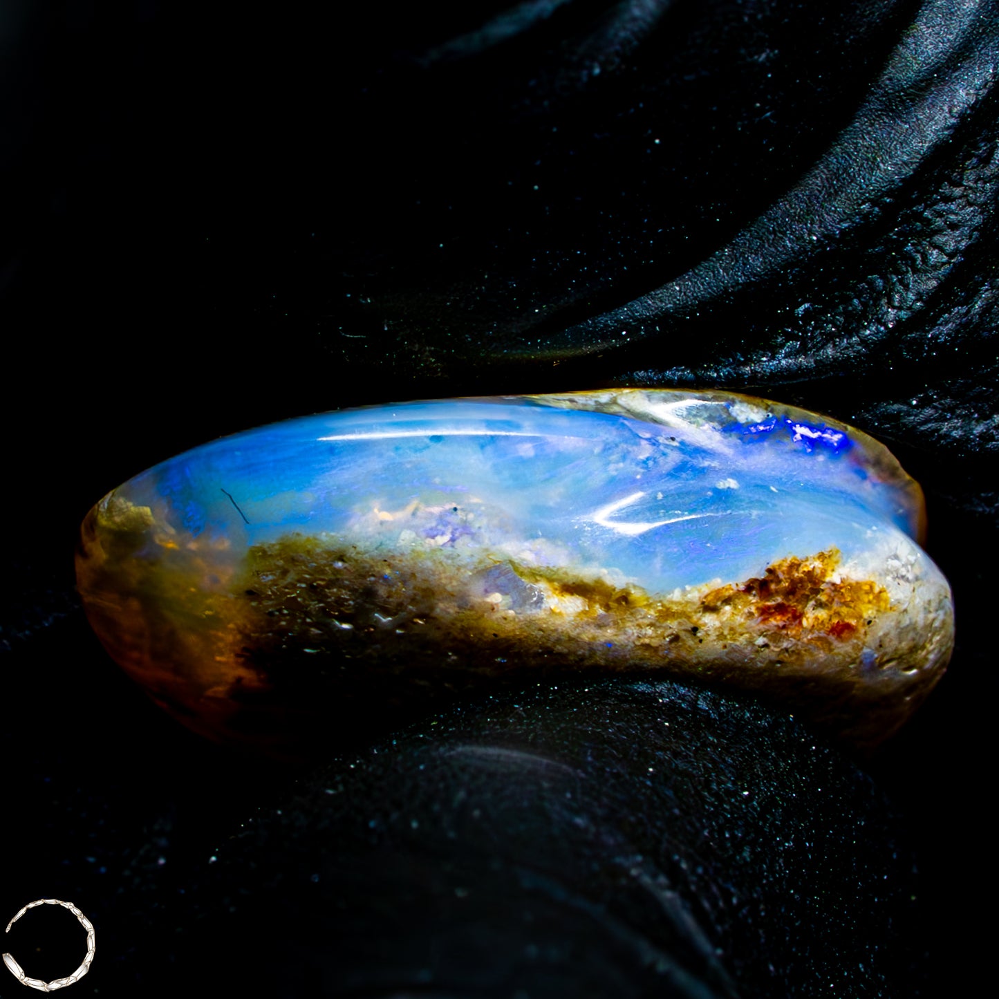Natürliche AAA+ Opalesierte Fossile Muschel aus Australien, 16,50ct