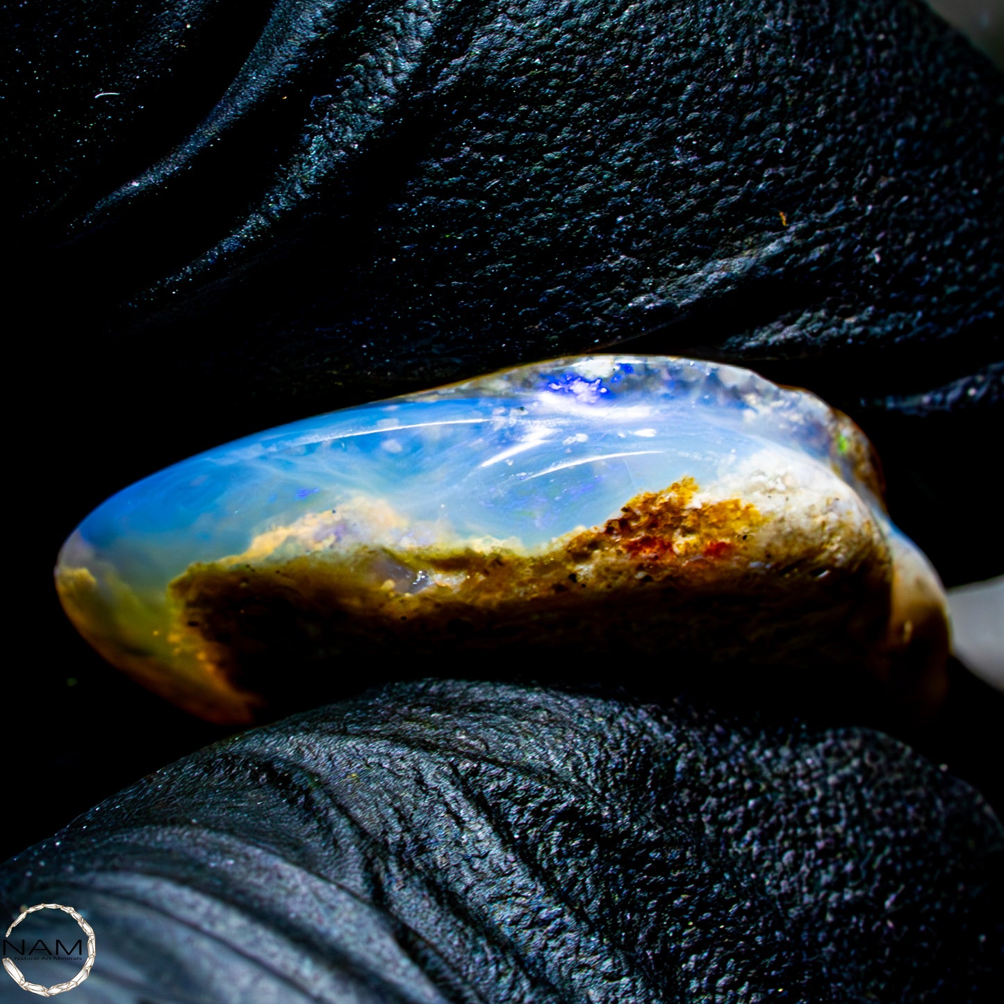 Natürliche AAA+ Opalesierte Fossile Muschel aus Australien, 16,50ct