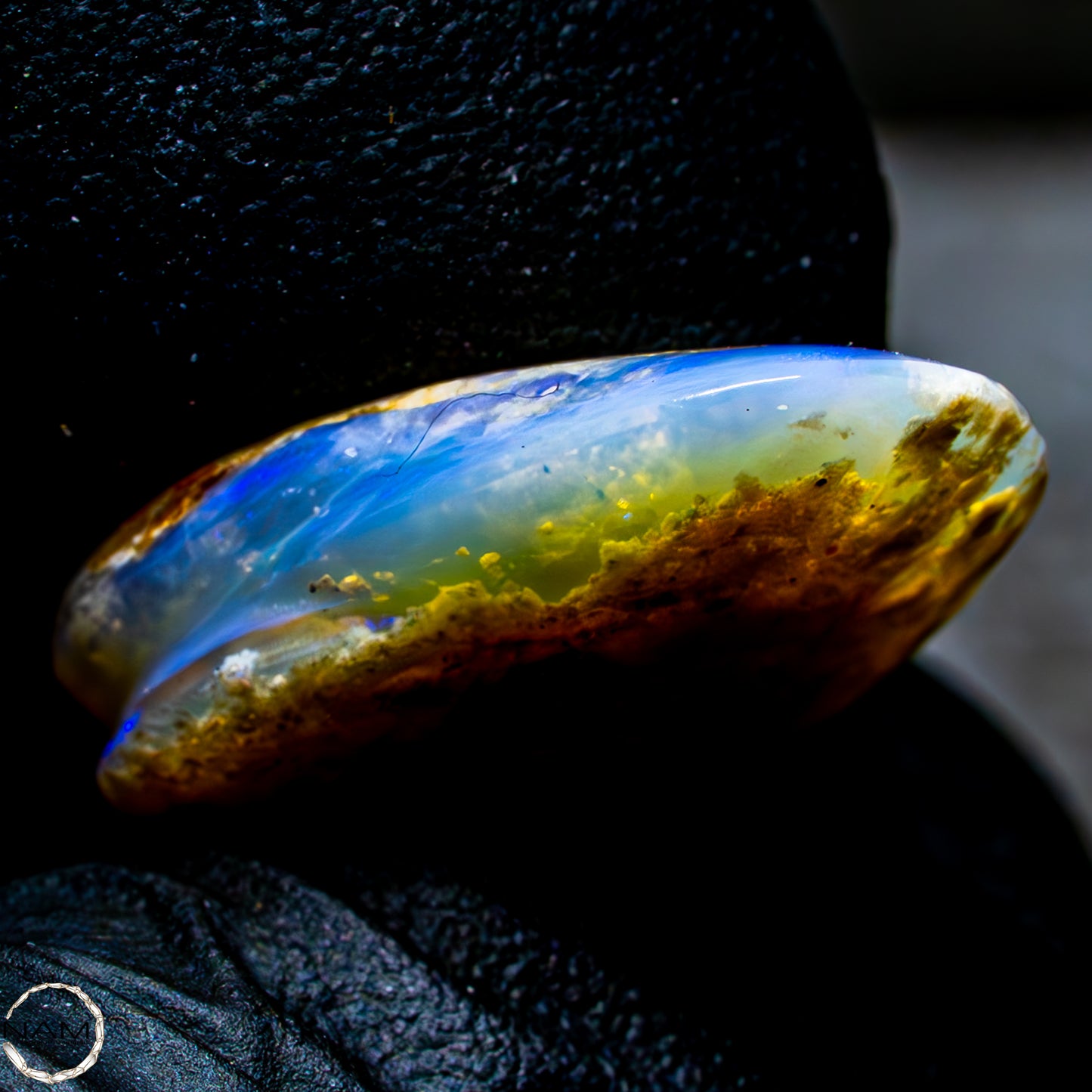 Natürliche AAA+ Opalesierte Fossile Muschel aus Australien, 16,50ct