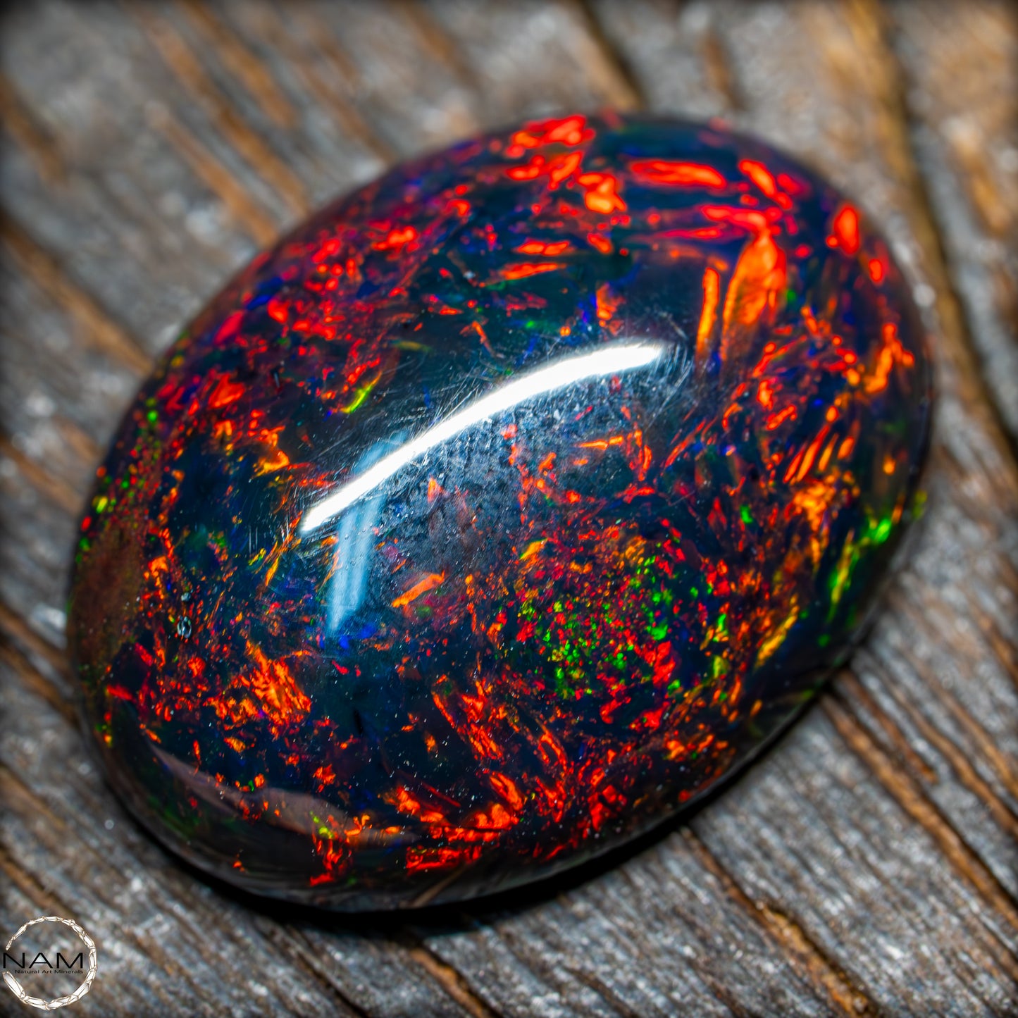 Großer AAA+ Schwarzer Opal Cabochon - 8.7 ct - 1,74g