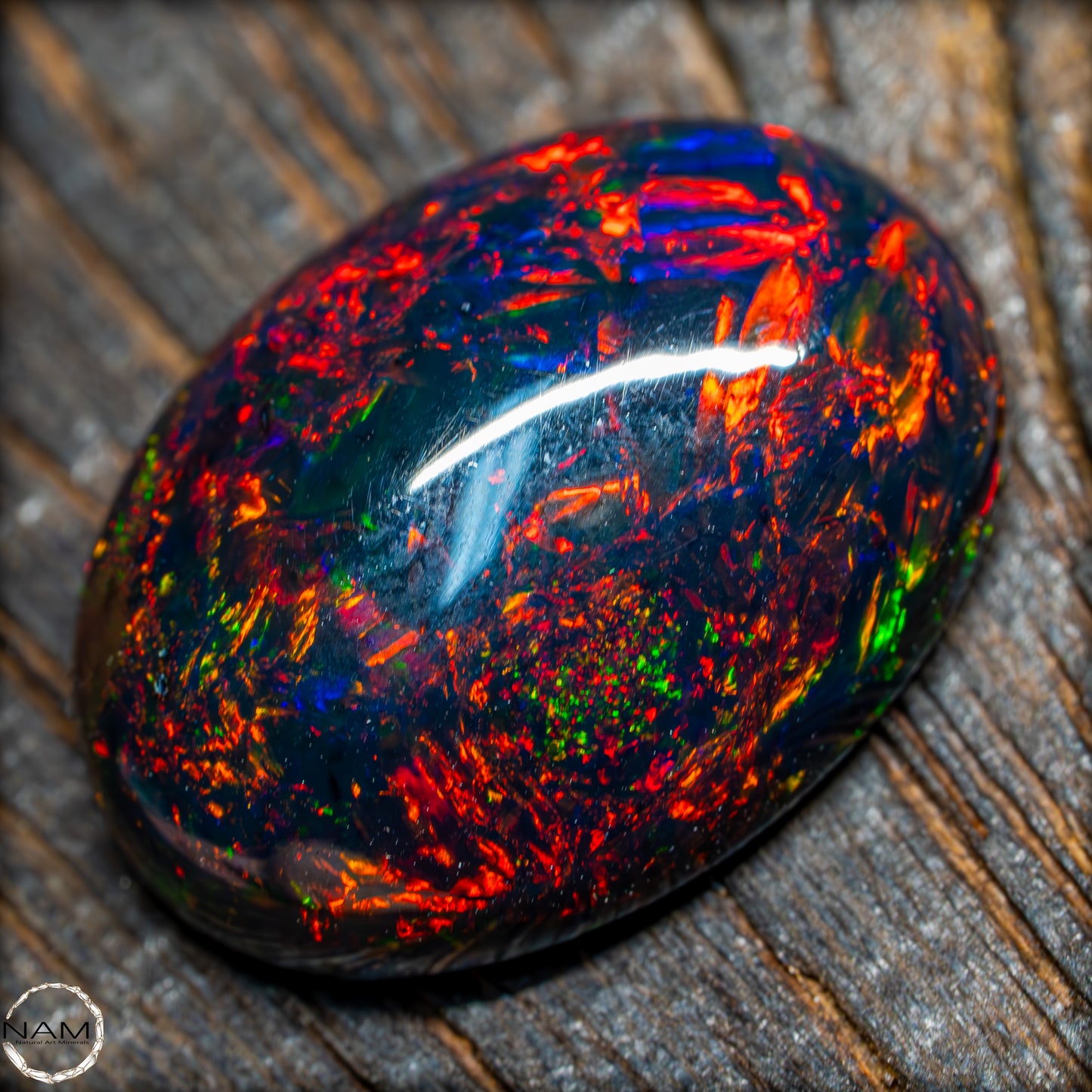Großer AAA+ Schwarzer Opal Cabochon - 8.7 ct - 1,74g