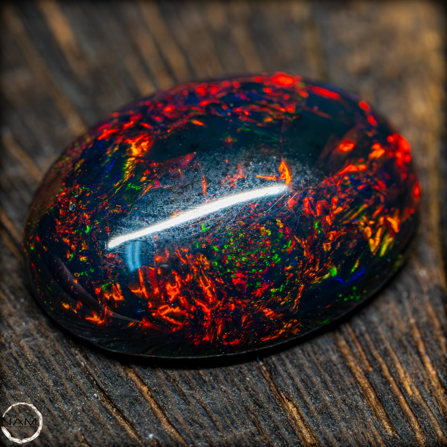 Großer AAA+ Schwarzer Opal Cabochon - 8.7 ct - 1,74g