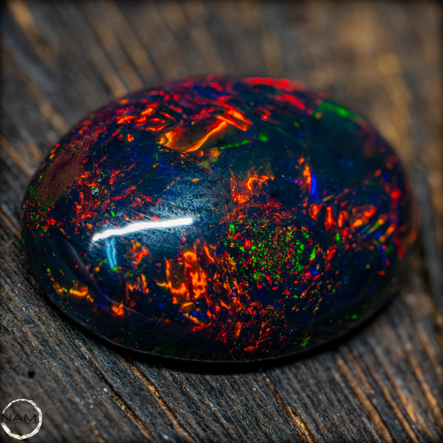 Großer AAA+ Schwarzer Opal Cabochon - 8.7 ct - 1,74g
