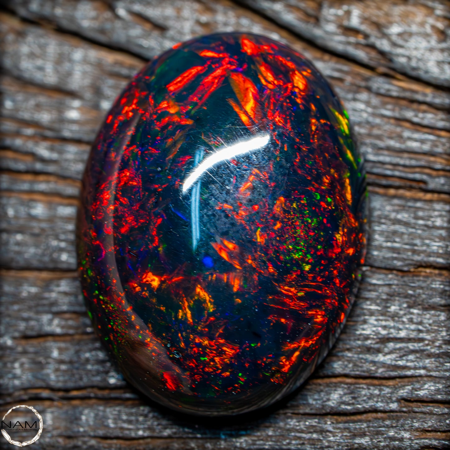 Großer AAA+ Schwarzer Opal Cabochon - 8.7 ct - 1,74g