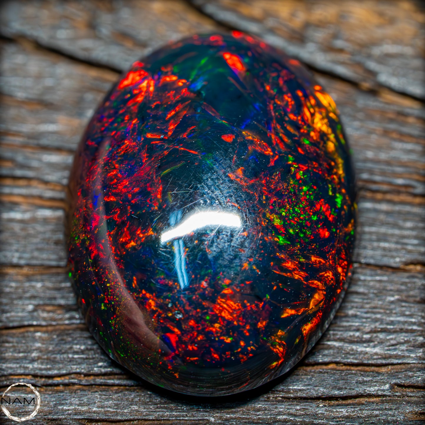 Großer AAA+ Schwarzer Opal Cabochon - 8.7 ct - 1,74g