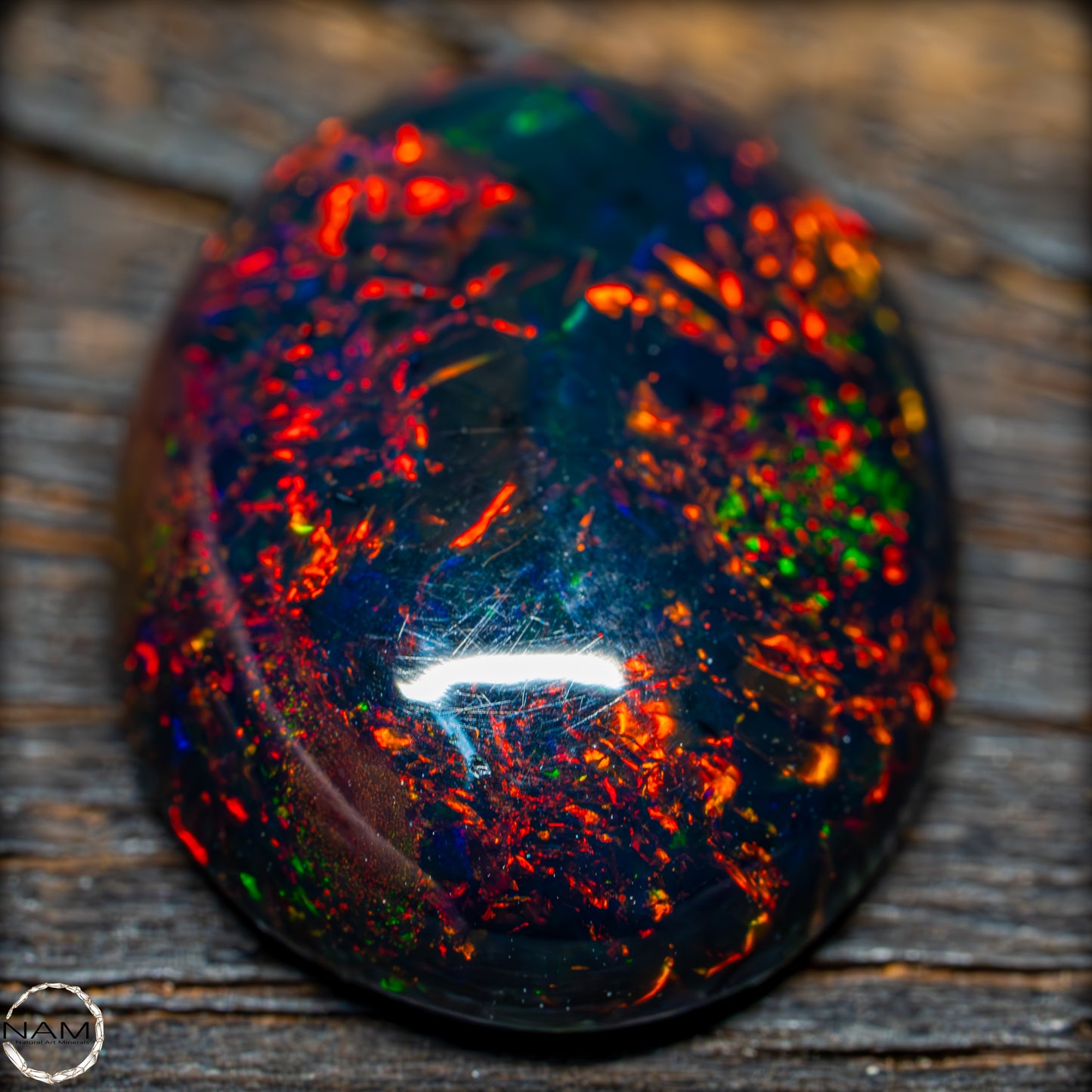 Großer AAA+ Schwarzer Opal Cabochon - 8.7 ct - 1,74g