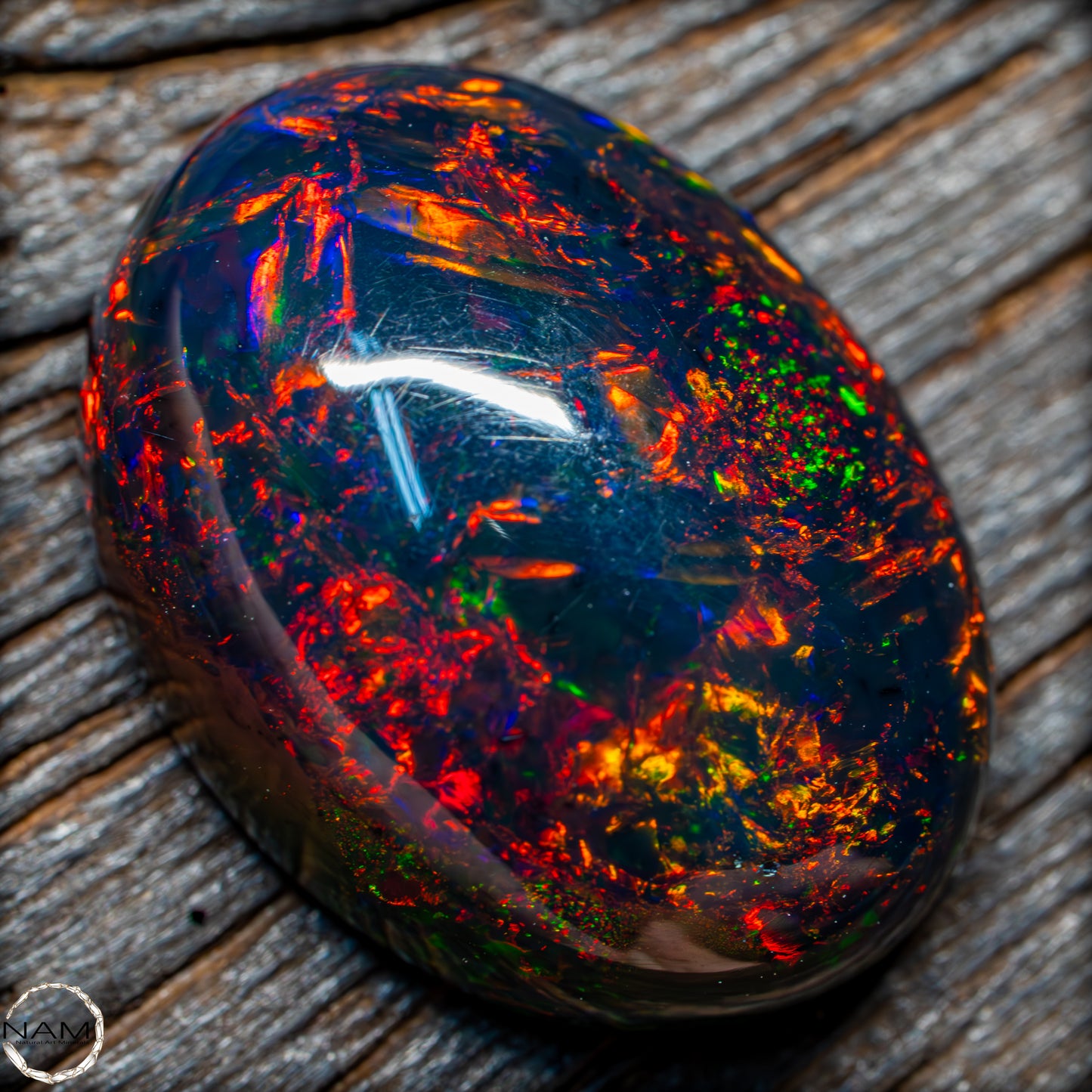 Großer AAA+ Schwarzer Opal Cabochon - 8.7 ct - 1,74g
