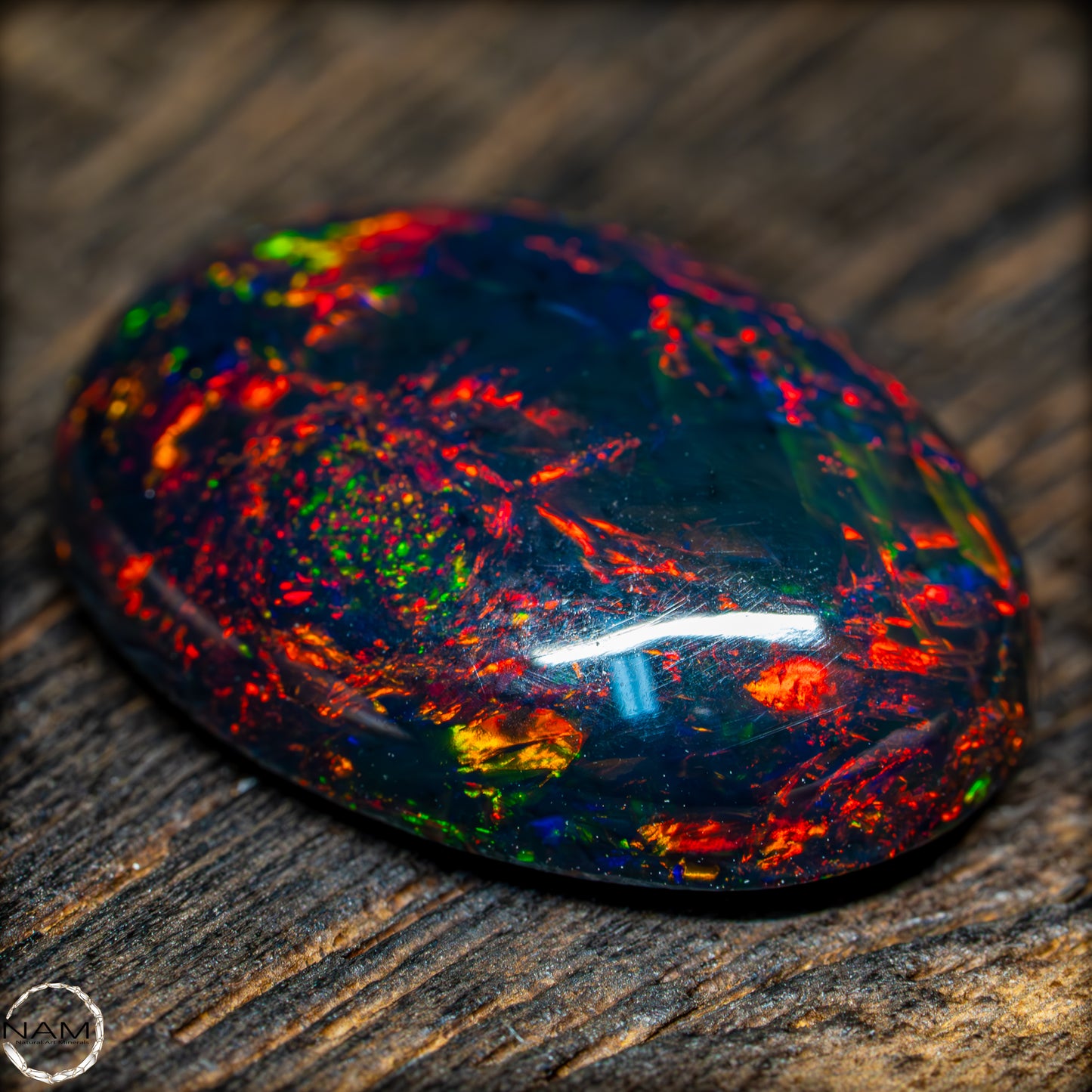 Großer AAA+ Schwarzer Opal Cabochon - 8.7 ct - 1,74g