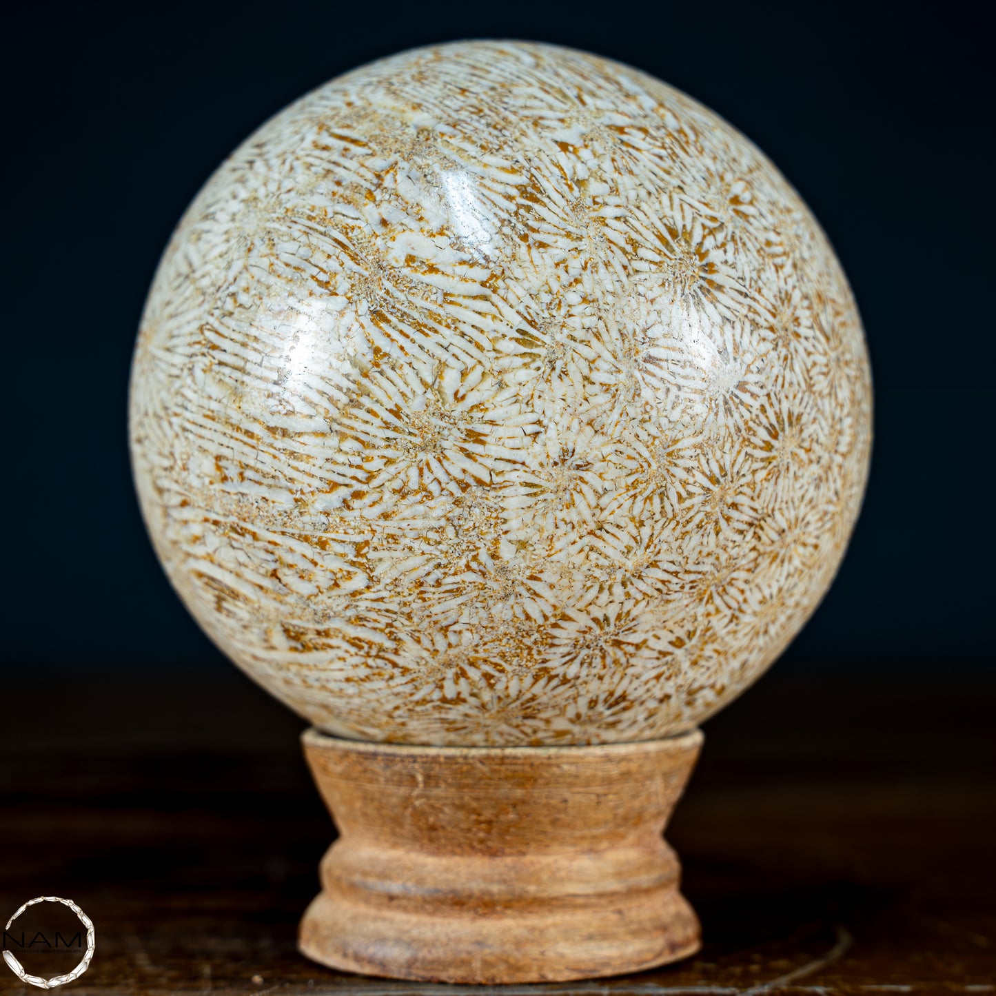 Natürliche Fossile Koralle als Kugel - 721,48g - 80,4mm