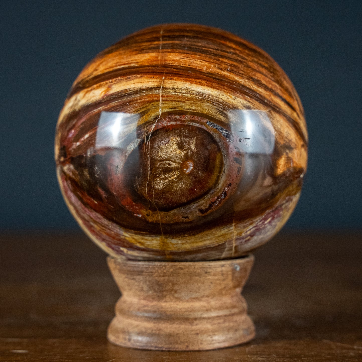 Natürliche Kugel aus Versteinertem Holz - 557,49g - 74,4mm