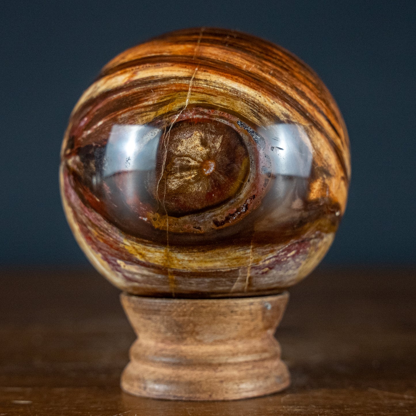 Natürliche Kugel aus Versteinertem Holz - 557,49g - 74,4mm