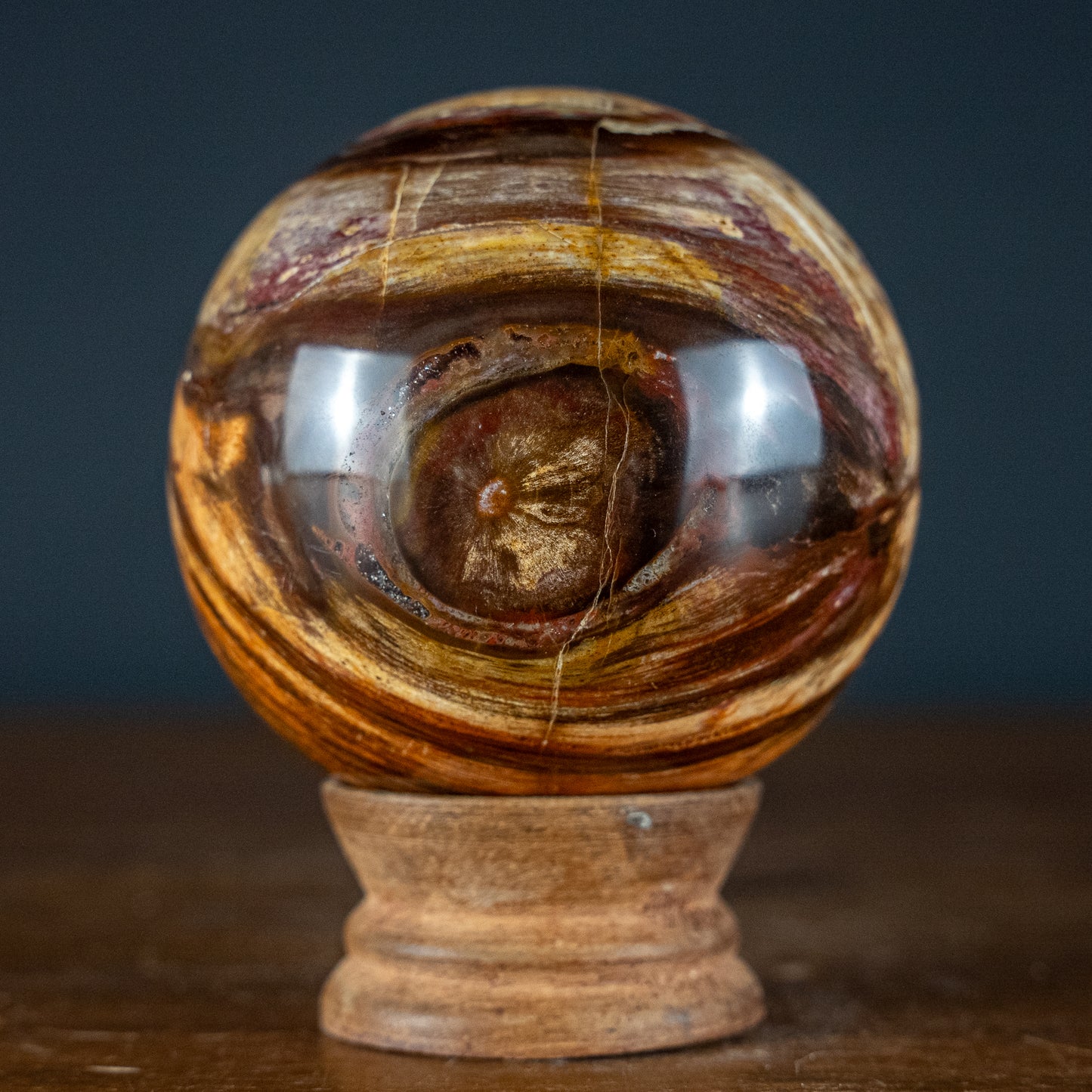 Natürliche Kugel aus Versteinertem Holz - 557,49g - 74,4mm
