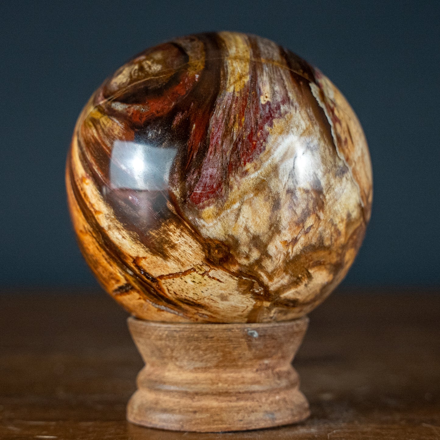 Natürliche Kugel aus Versteinertem Holz - 557,49g - 74,4mm