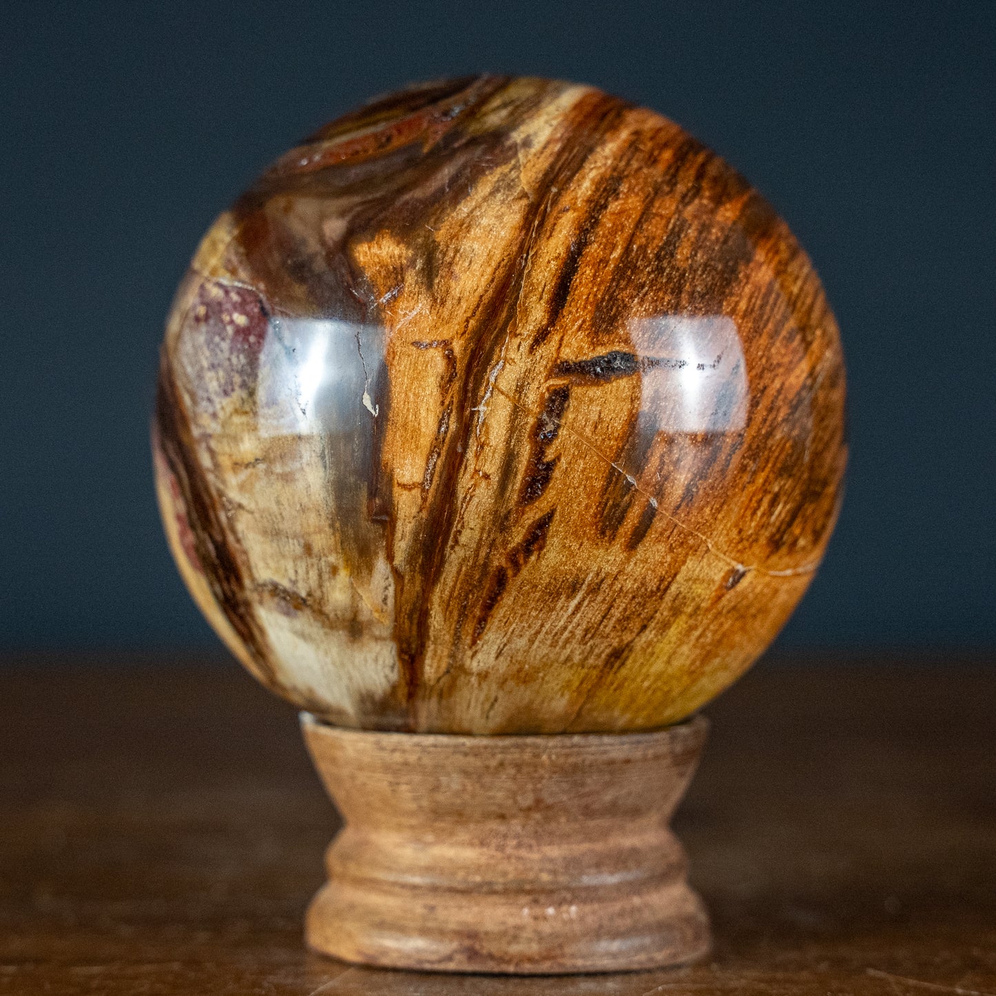 Natürliche Kugel aus Versteinertem Holz - 557,49g - 74,4mm