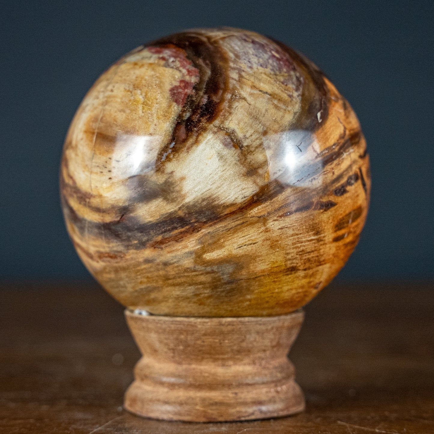 Natürliche Kugel aus Versteinertem Holz - 557,49g - 74,4mm