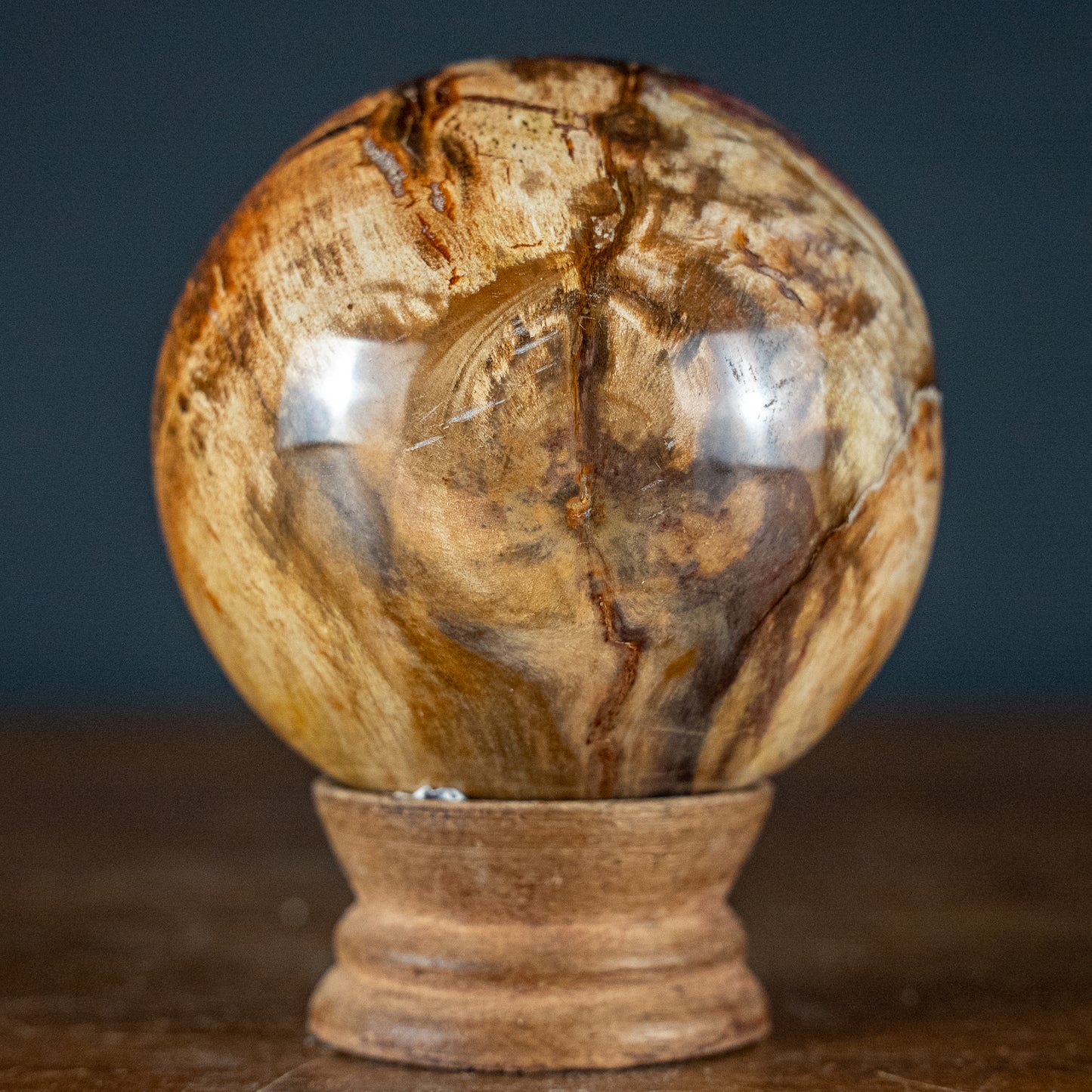 Natürliche Kugel aus Versteinertem Holz - 557,49g - 74,4mm